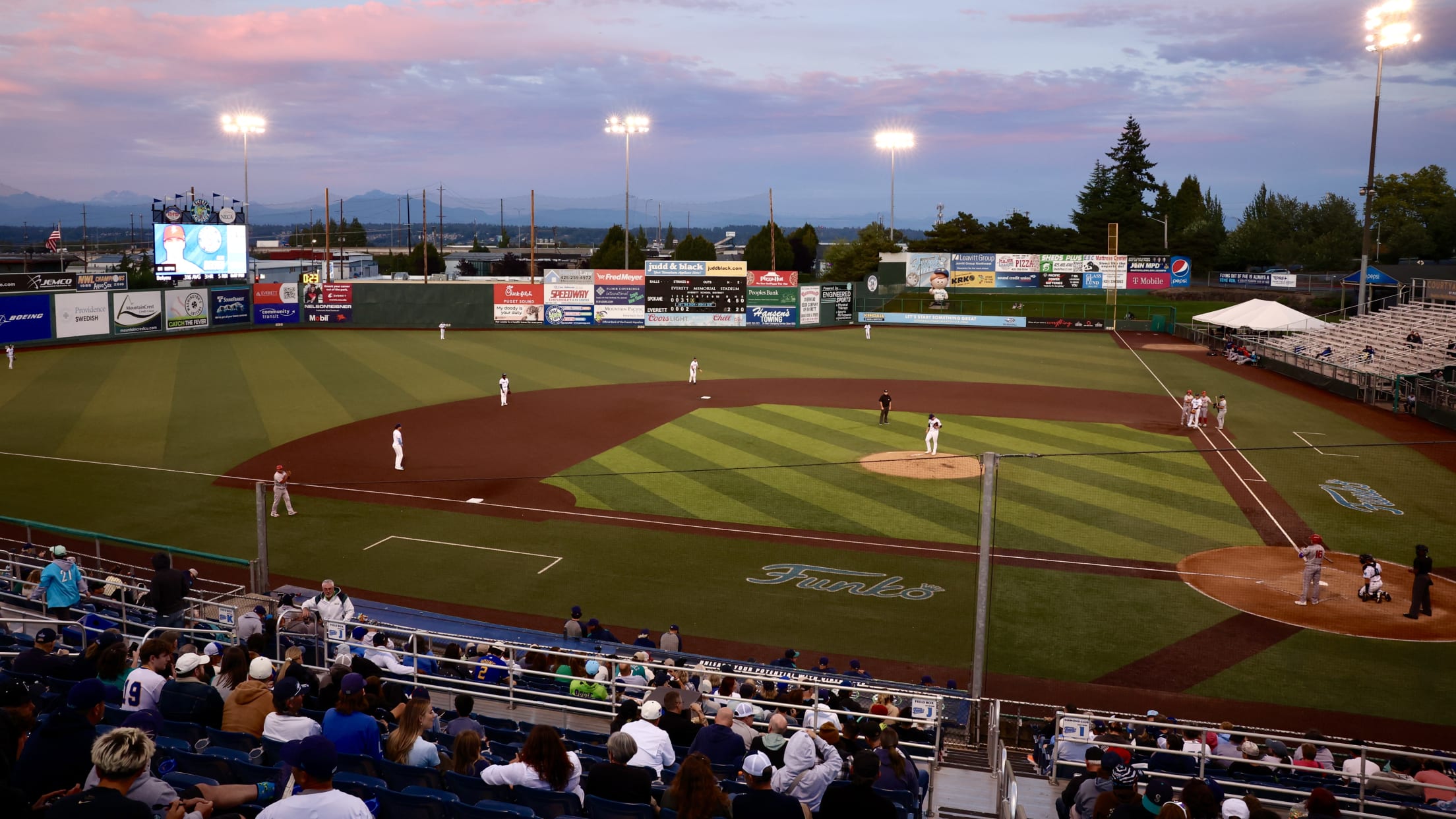 Everett_FieldView