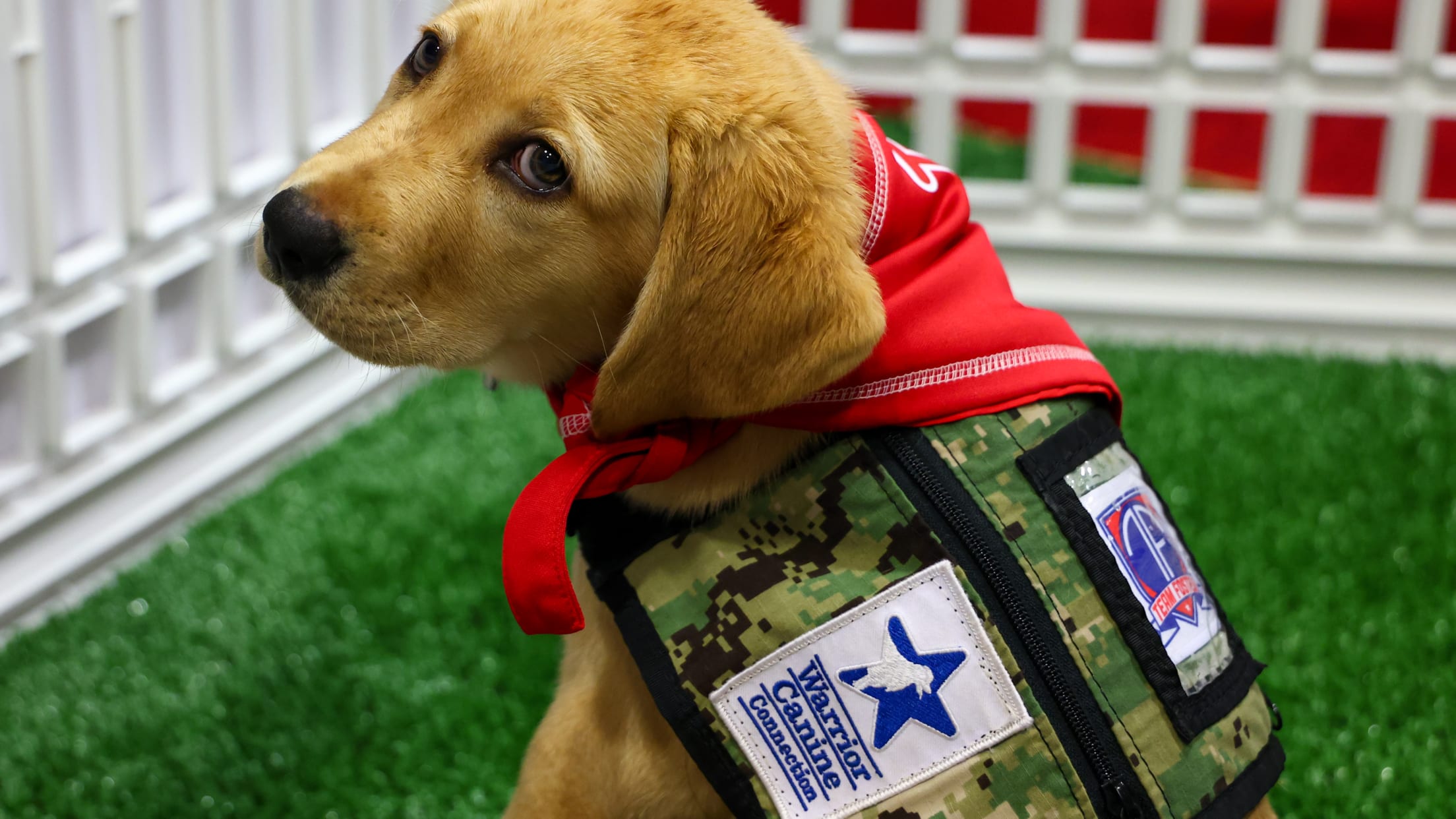 20250701_Tugger Media Availability-25