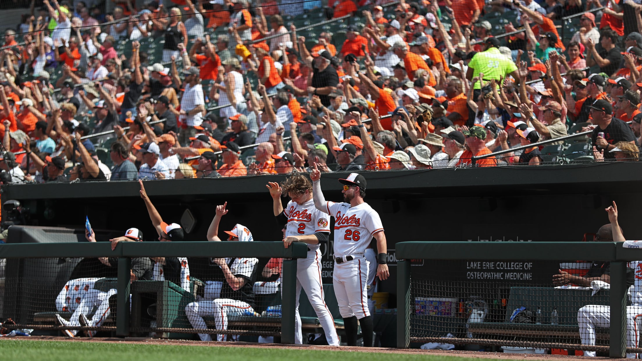 BAL-BI-Homestand-in-focus-083123-136