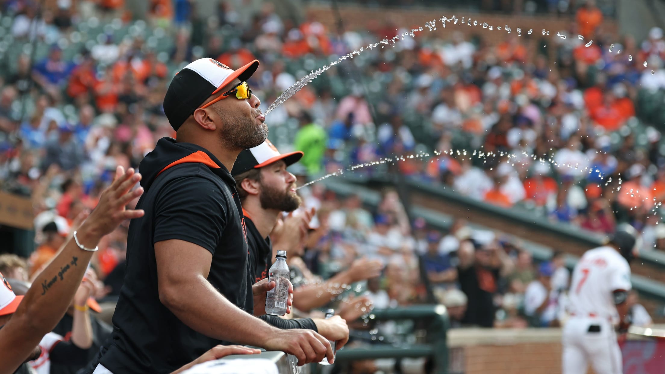 bal_Birdland_Insider_Todd_Photos_0033