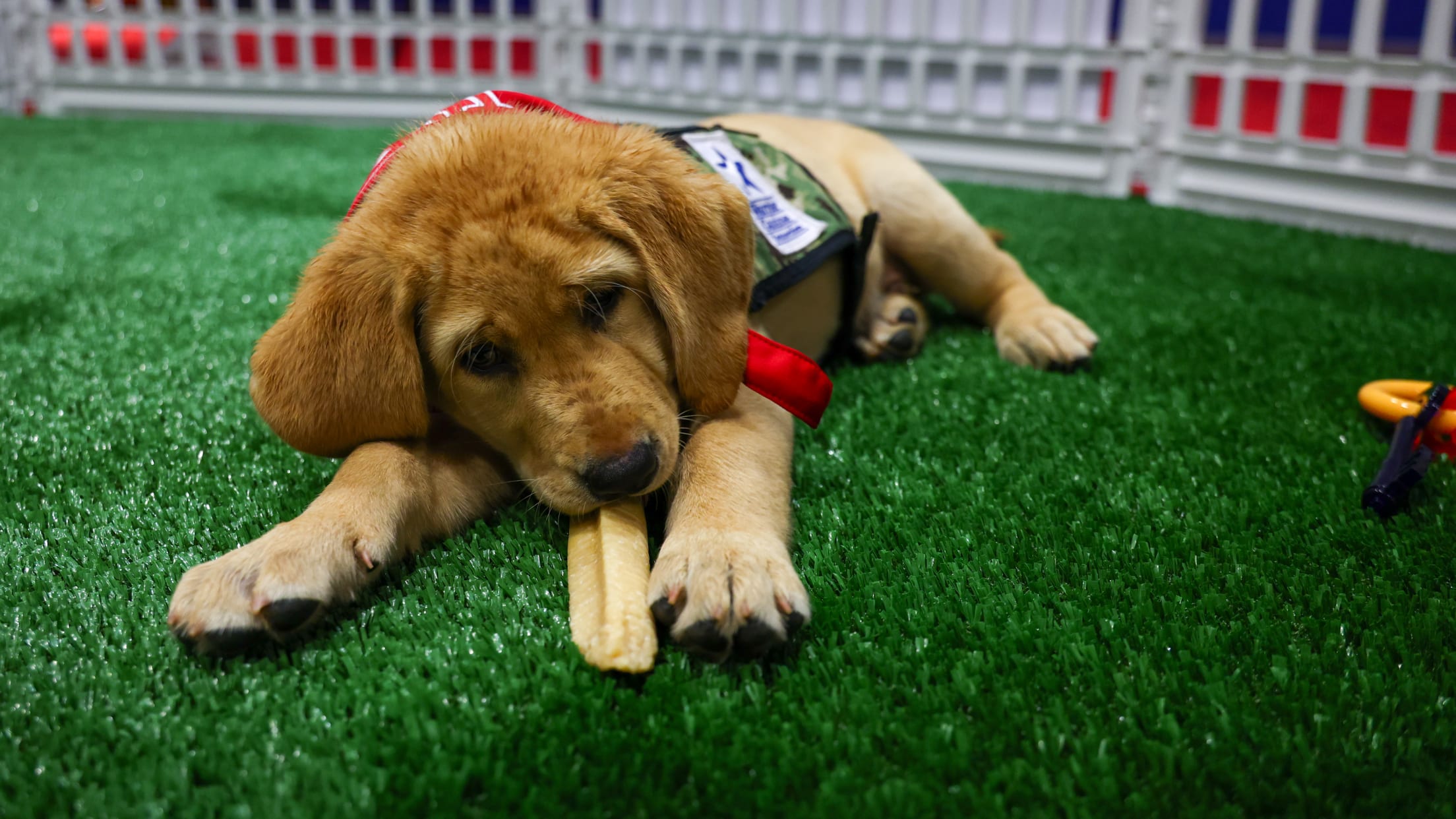 20250701_Tugger Media Availability-3