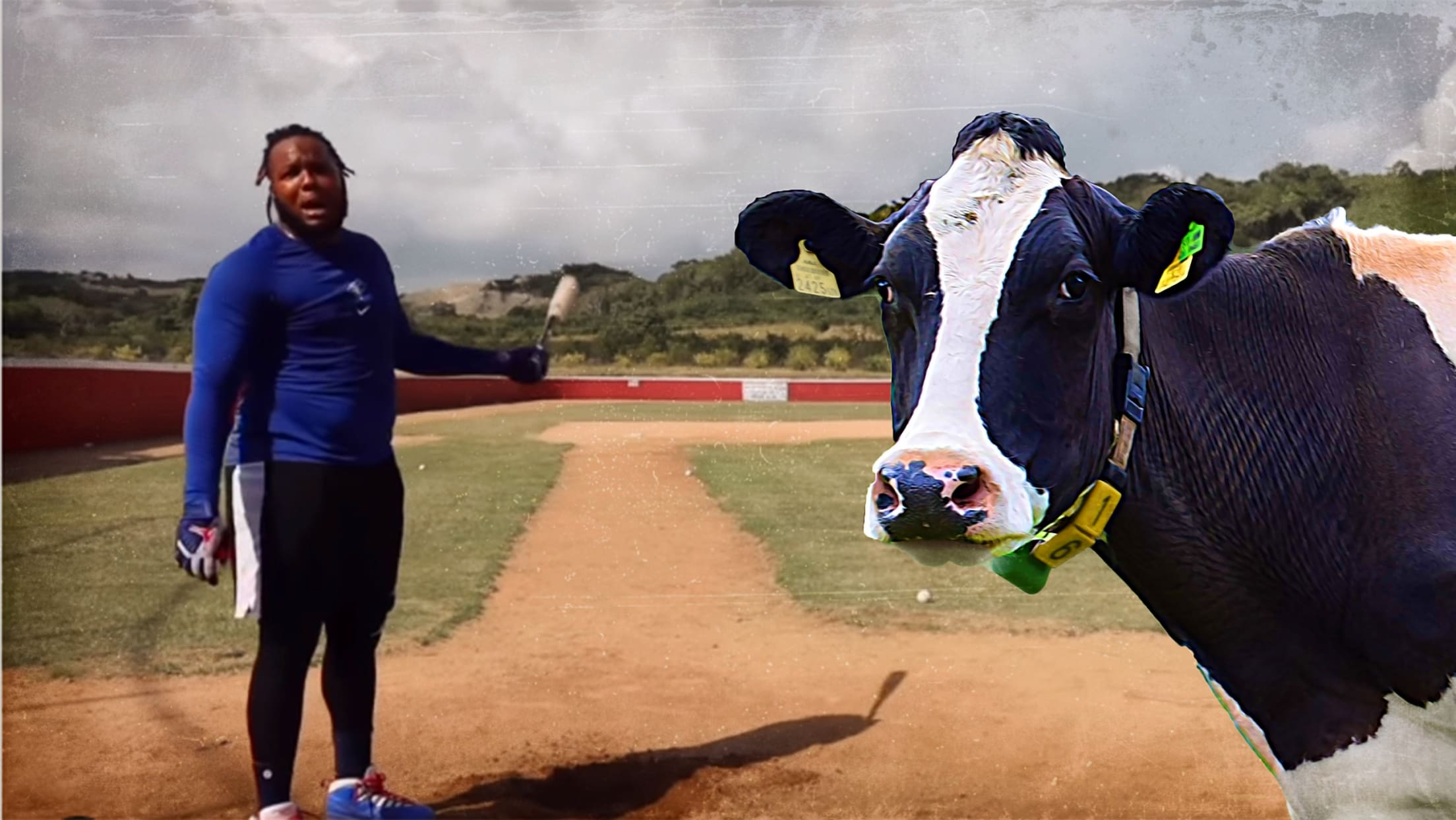 A video screengrab of Vladimir Guerrero Jr. holding a bat on a ballfield with an image of a cow added on the right side