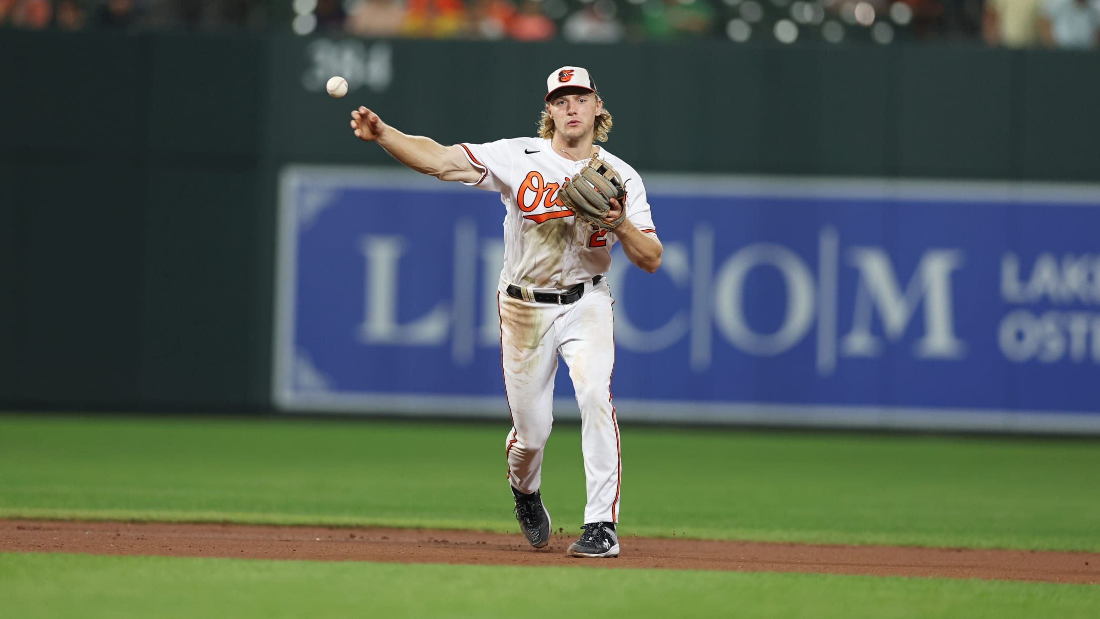 Os_BI_MiLBFarmSystem - 002