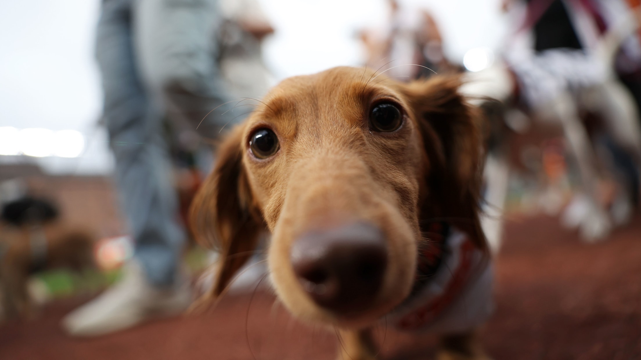 BAL-InFocus-092424-015