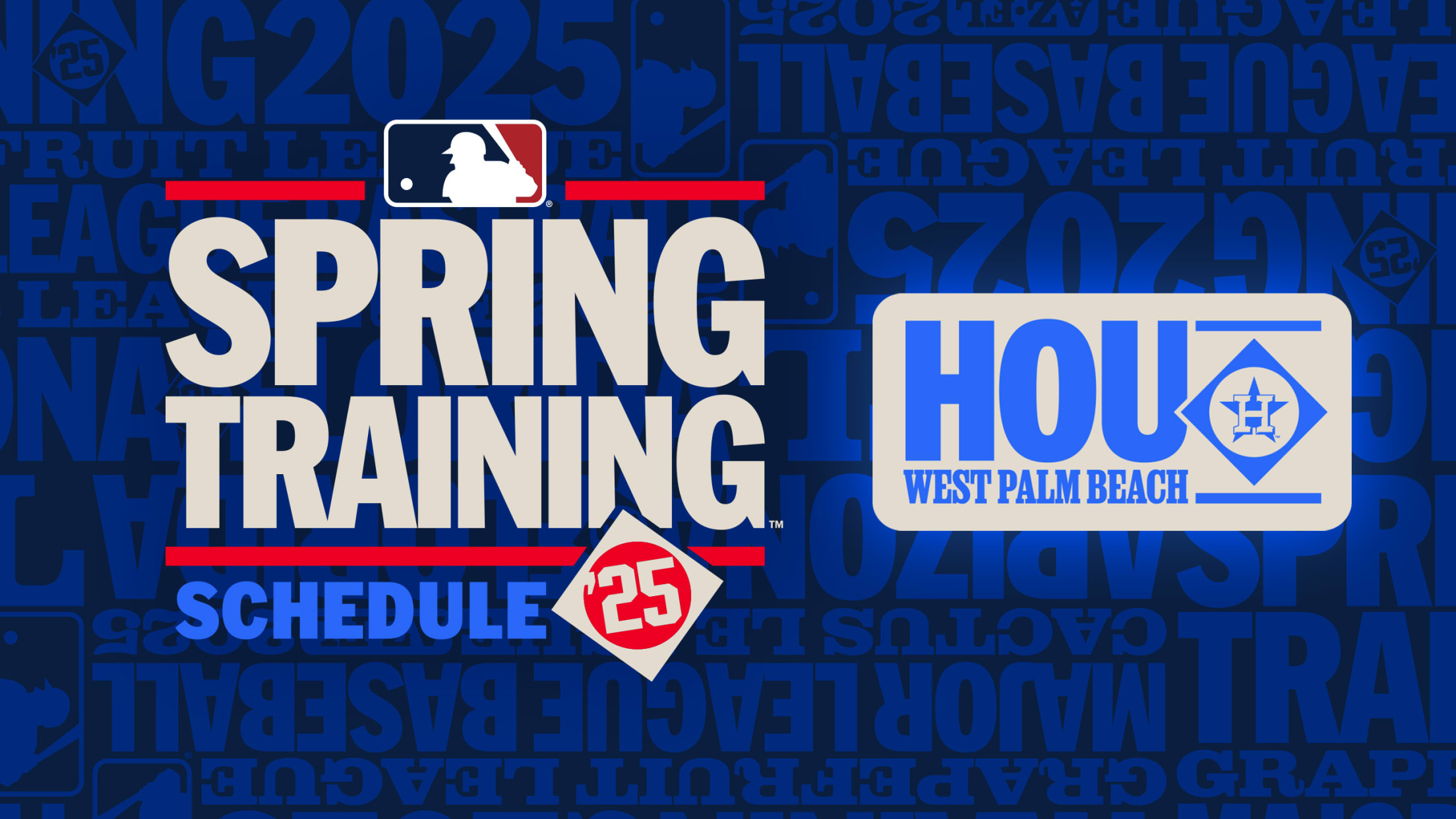 Astros 2025 Spring Training Ticket
