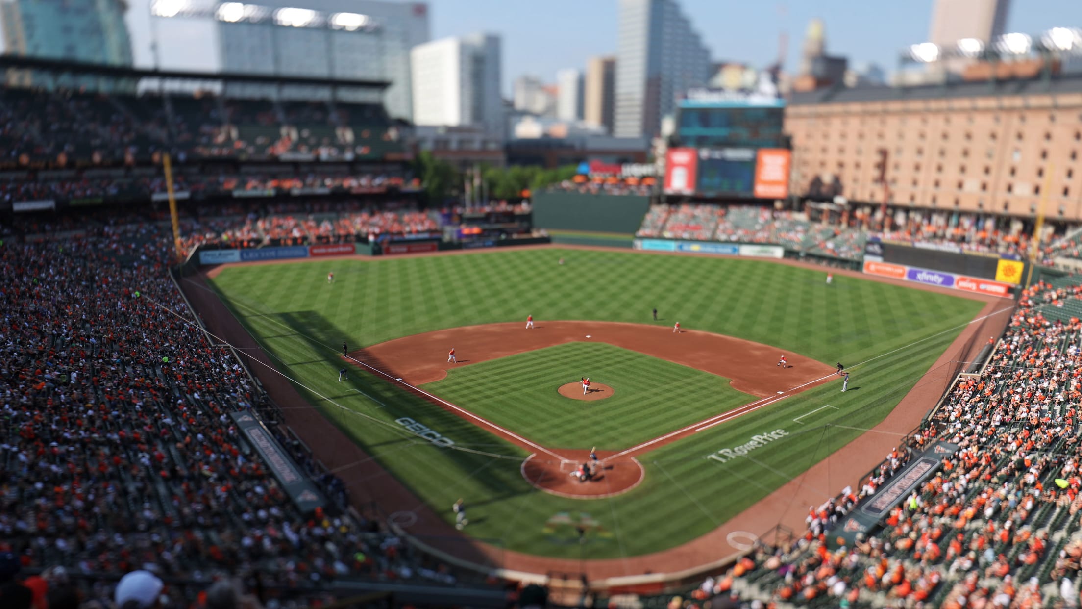 bal_Birdland_Insider_Todd_Photos_0028