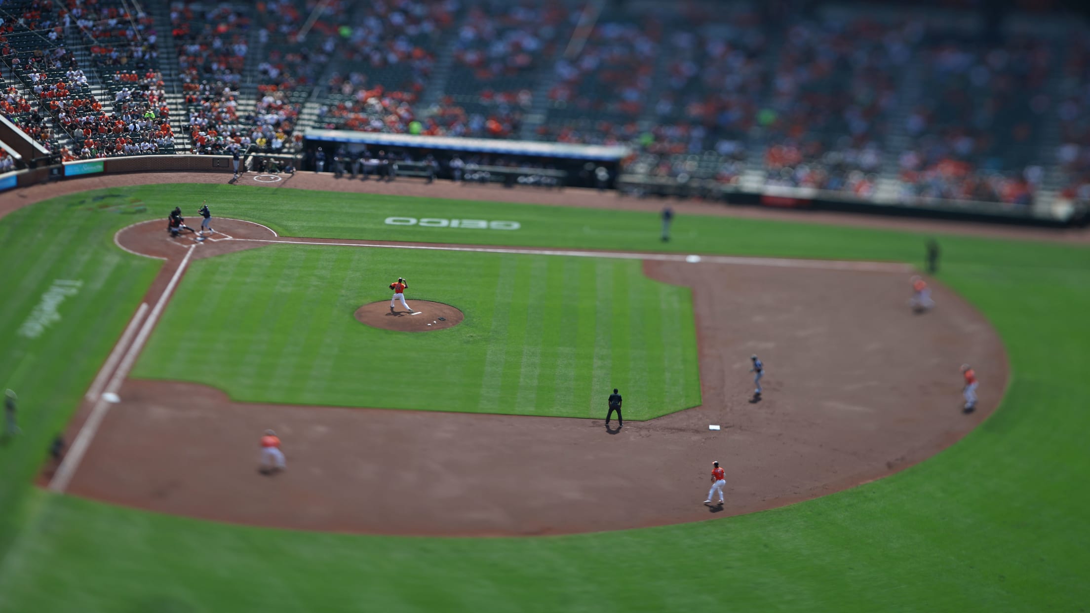 bal_Birdland_Insider_Todd_Photos_0027