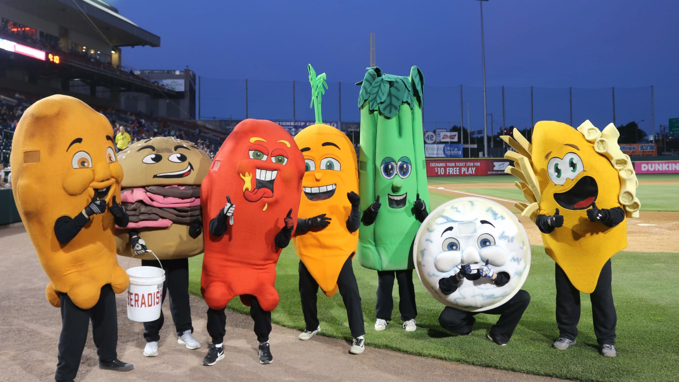 Explore Sahlen Field home of the Buffalo Bisons