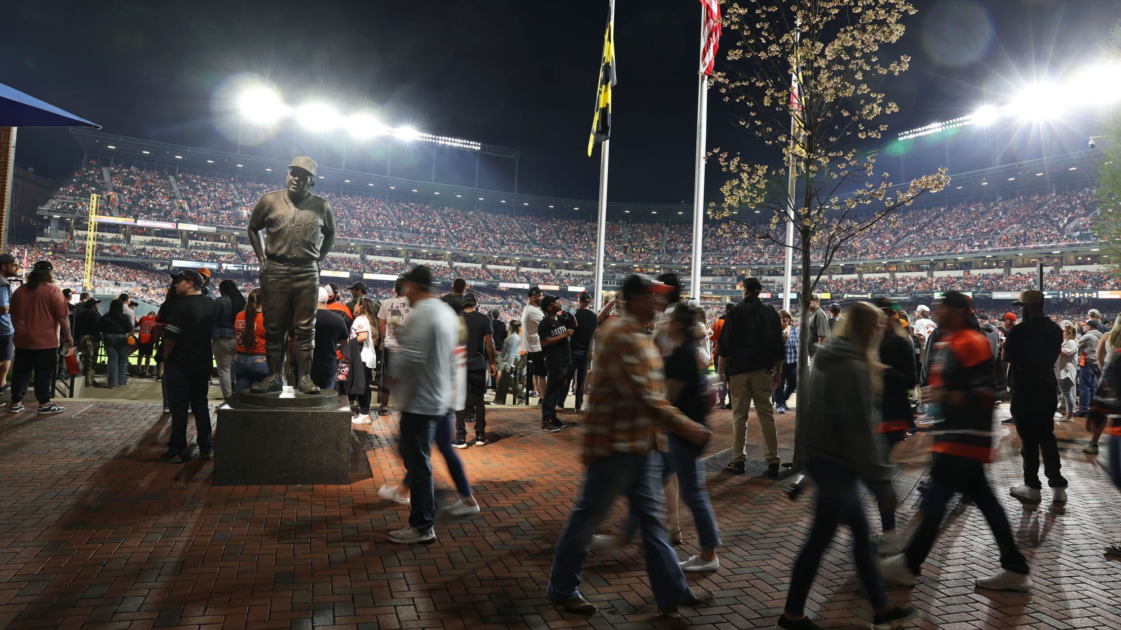 bal_Birdland_Insider_Todd_Photos_0014