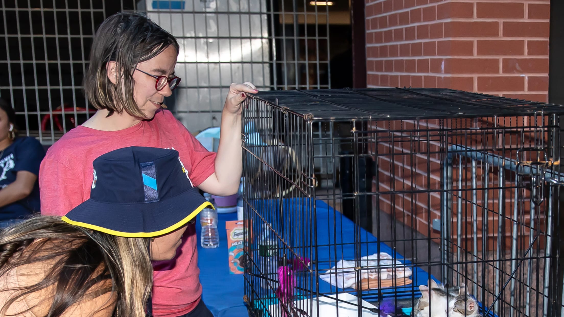 20250822_Save_a_Pet_Waterfalls-7 copy