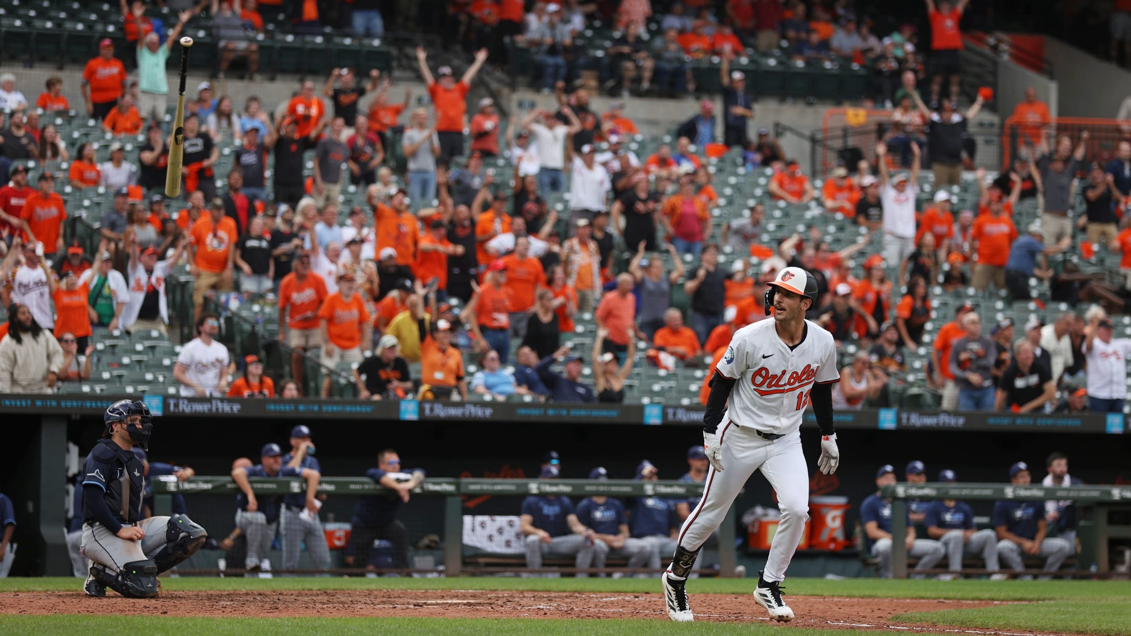 bal_Birdland_Insider_Connor_Photos_074