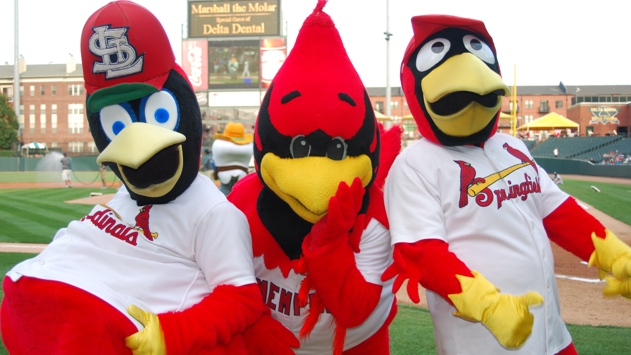 STL MEM SPR mascots