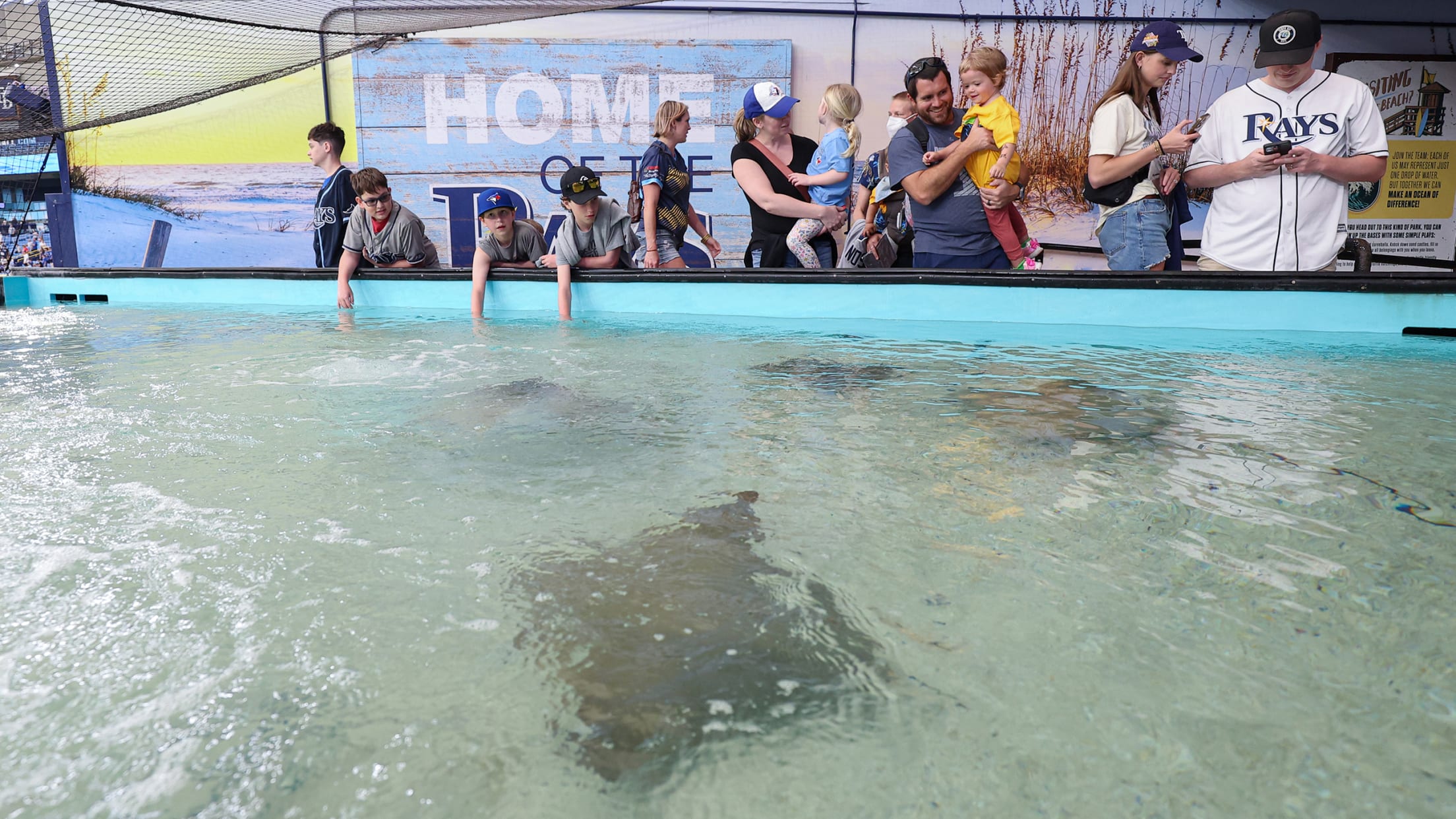 RAYS TROPICANA FIELD TANK 2024