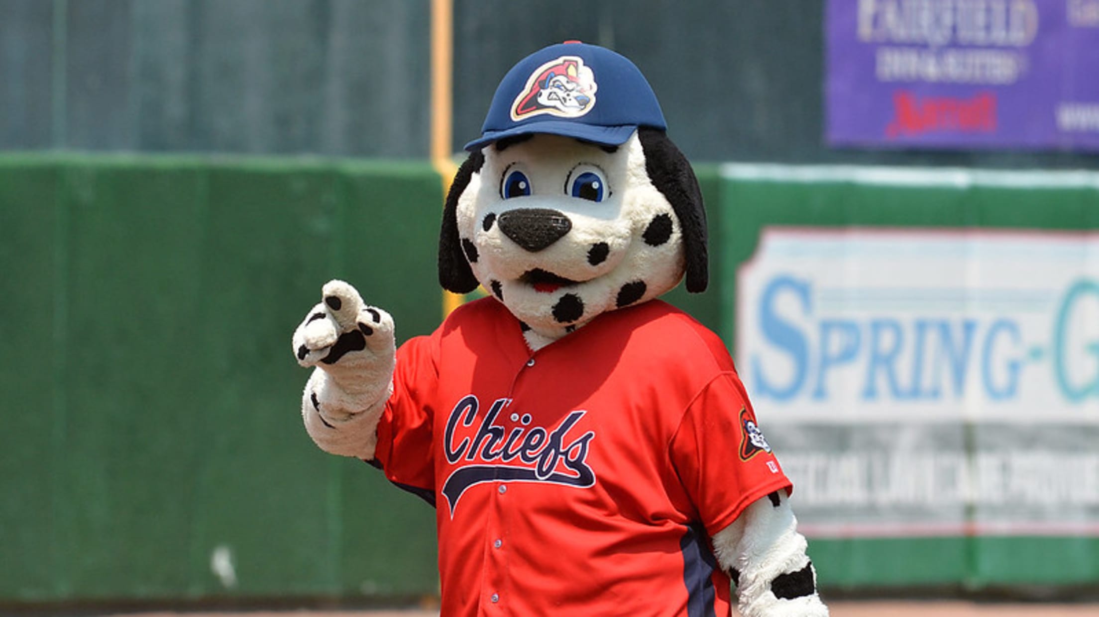 Peoria Chiefs Get New Caps, Jerseys for 2013