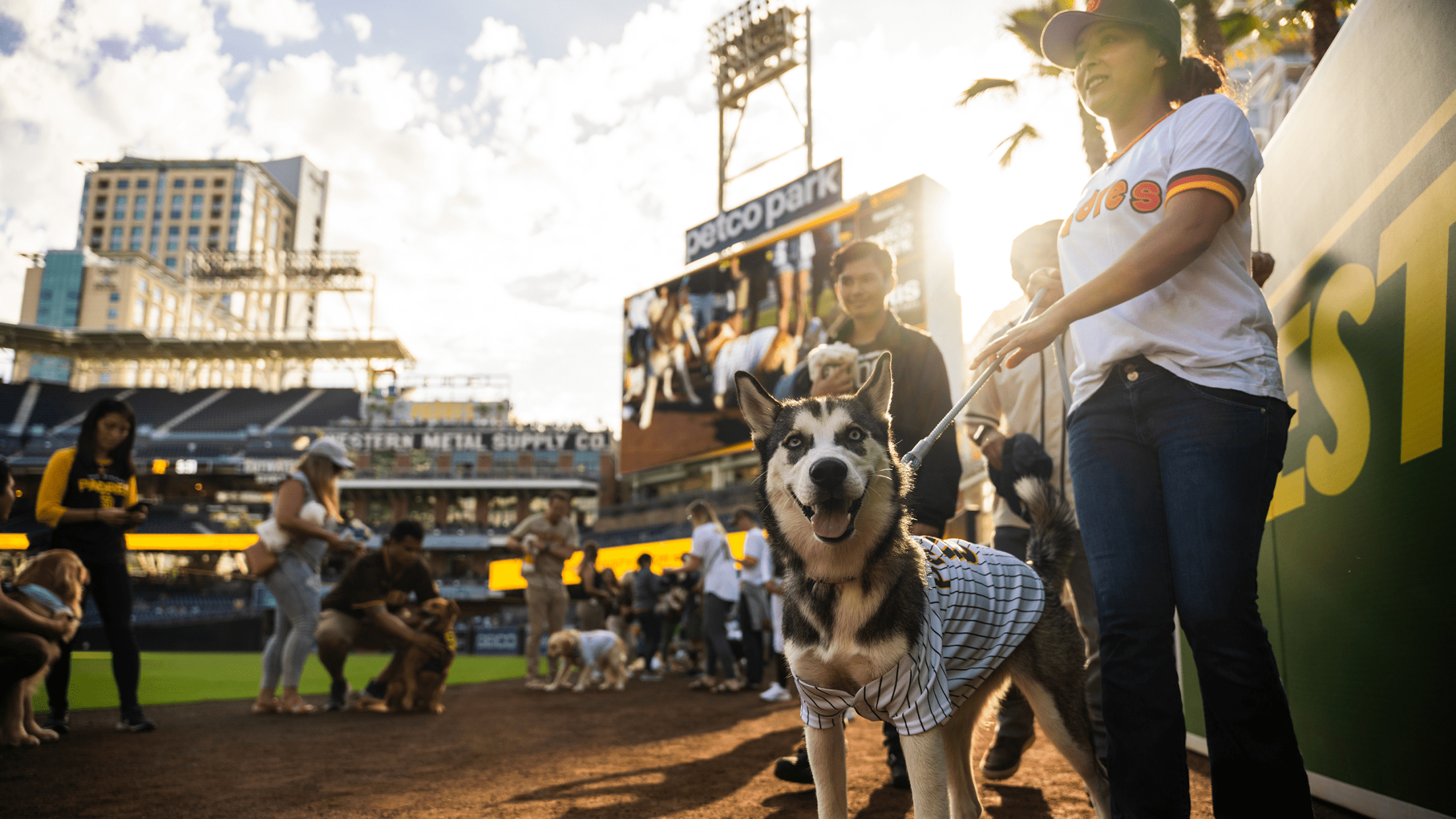 Theme Game Bark at the Park San Diego Padres
