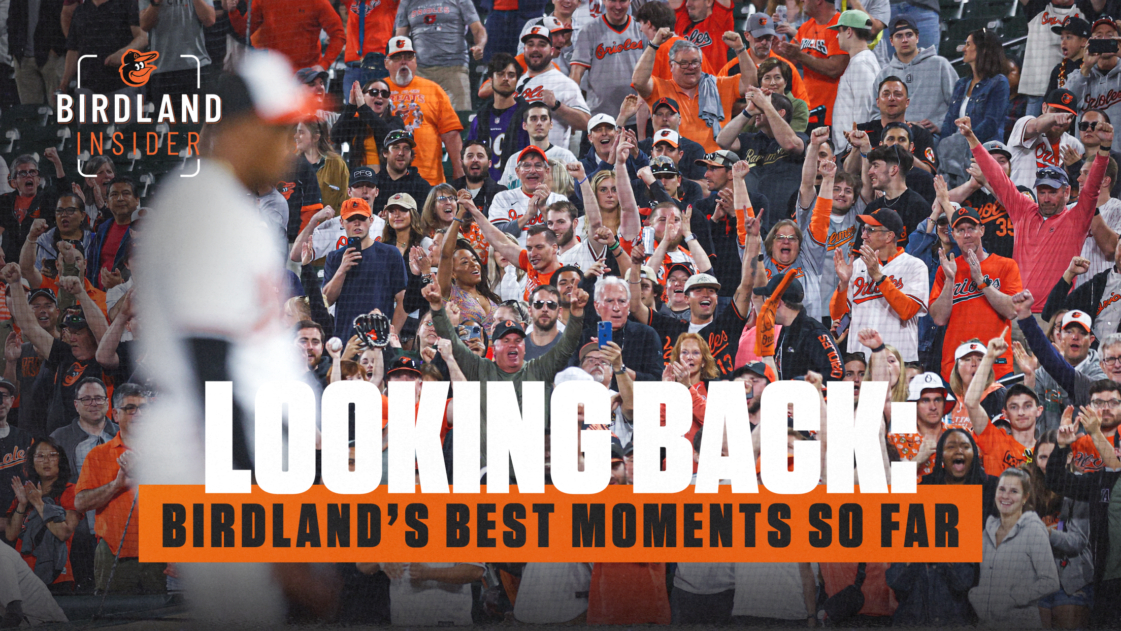 Birdland Insider: Looking Back: Birdland's Best Moments So Far