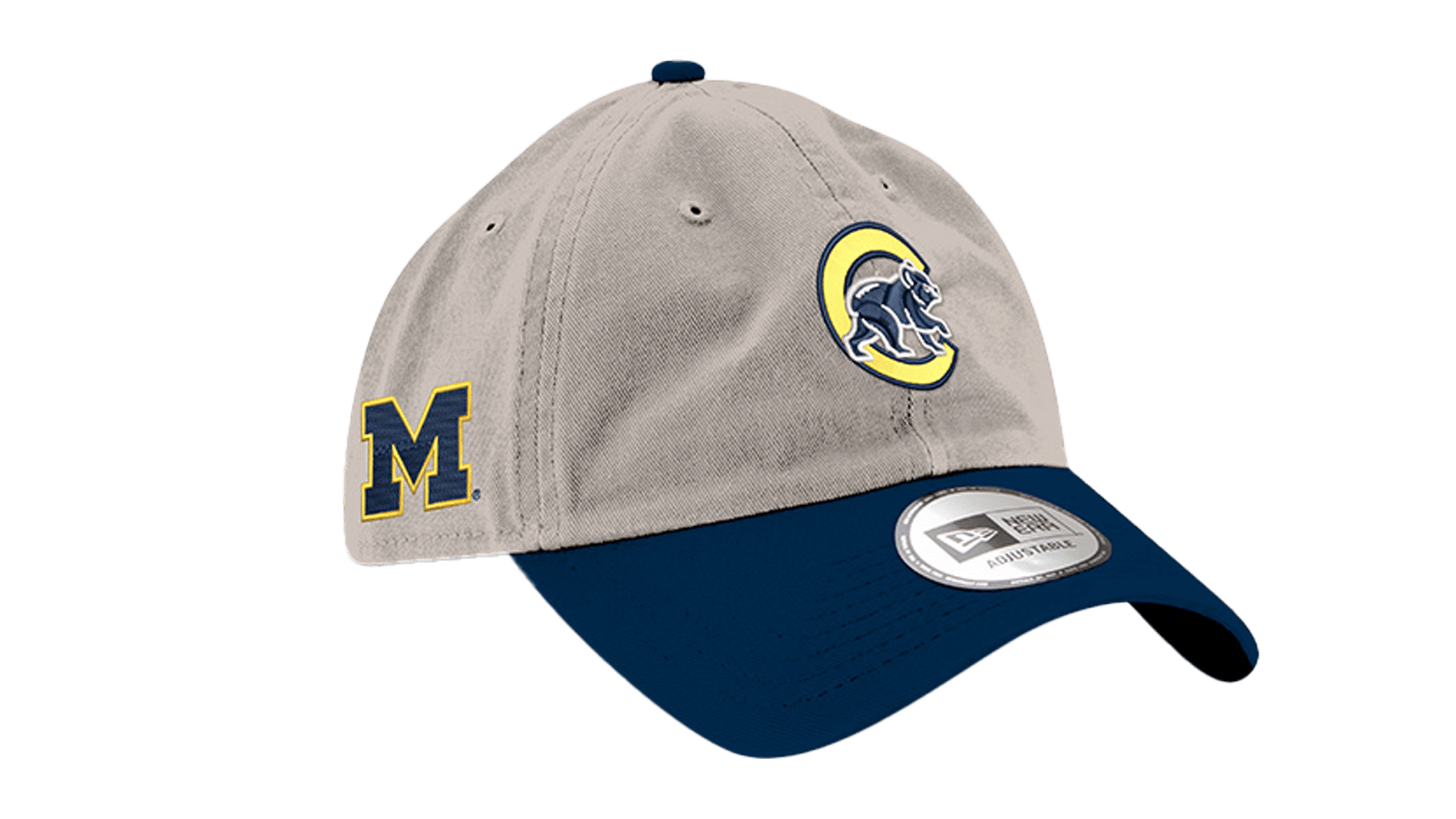 University of Michigan Special Ticket Offer Chicago Cubs