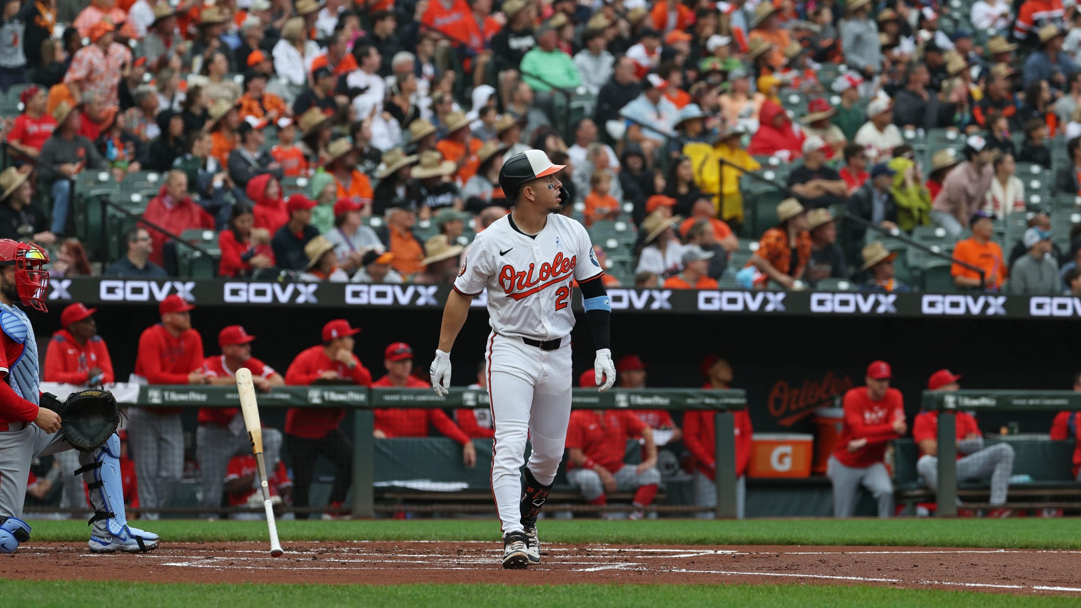 bal_Birdland_Insider_Todd_Photos_0024