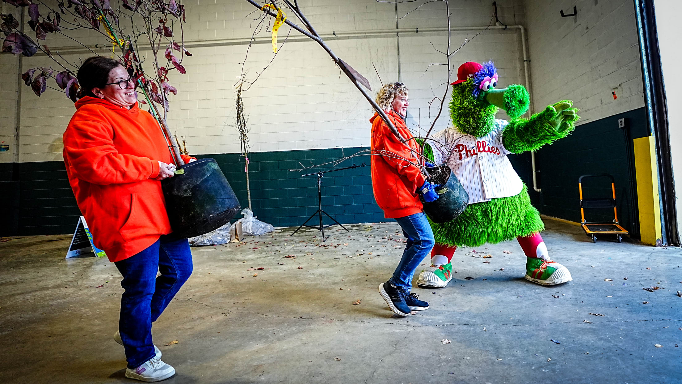 HomeRunsForTrees166703