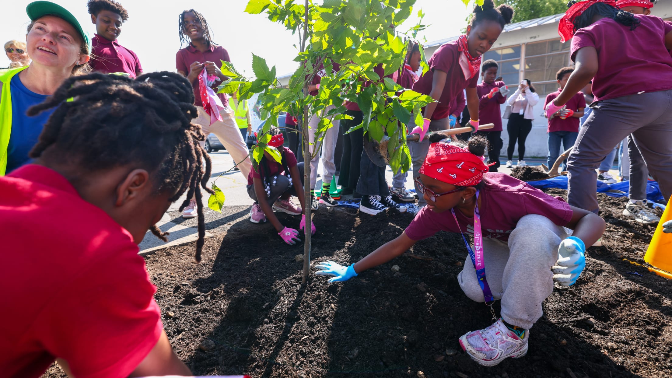 20250602_Tree Planting_Asplundh_PHS-44