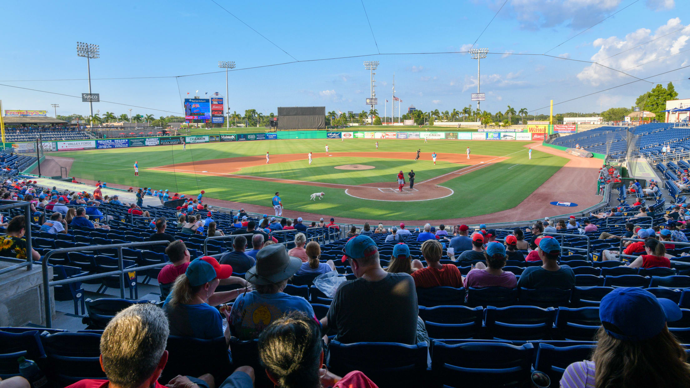 Section 106 at BayCare Ballpark 