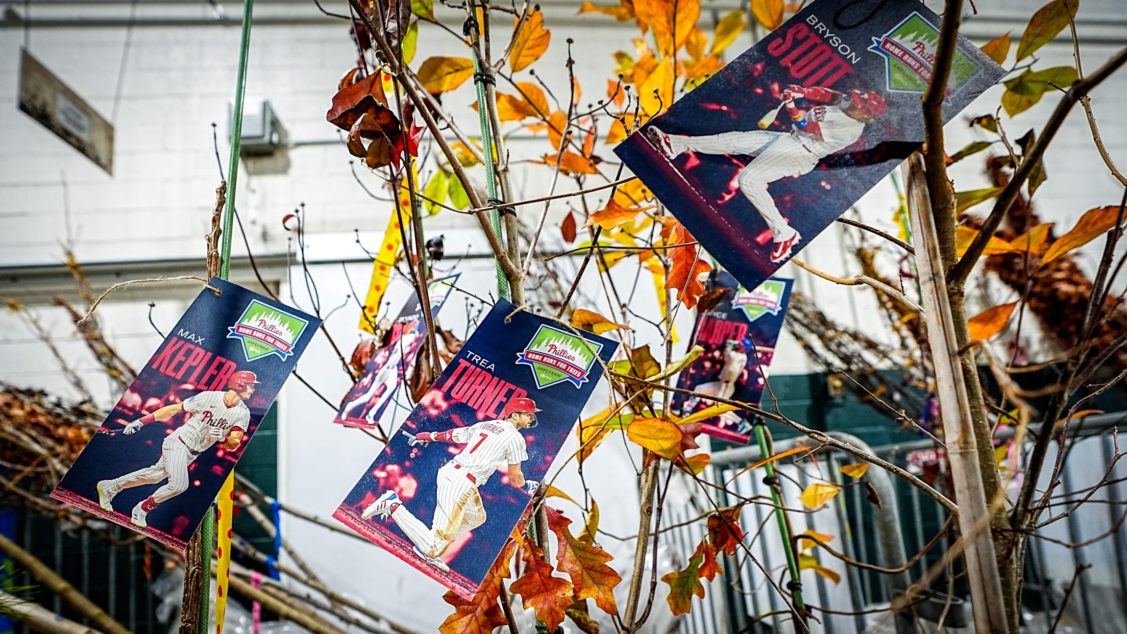 HomeRunsForTrees166526