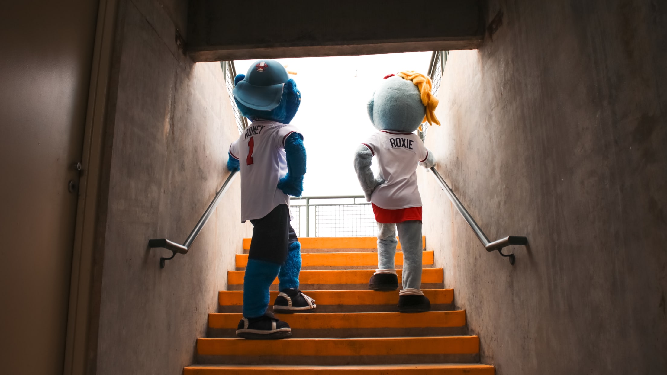 20220610_232557787_iOS