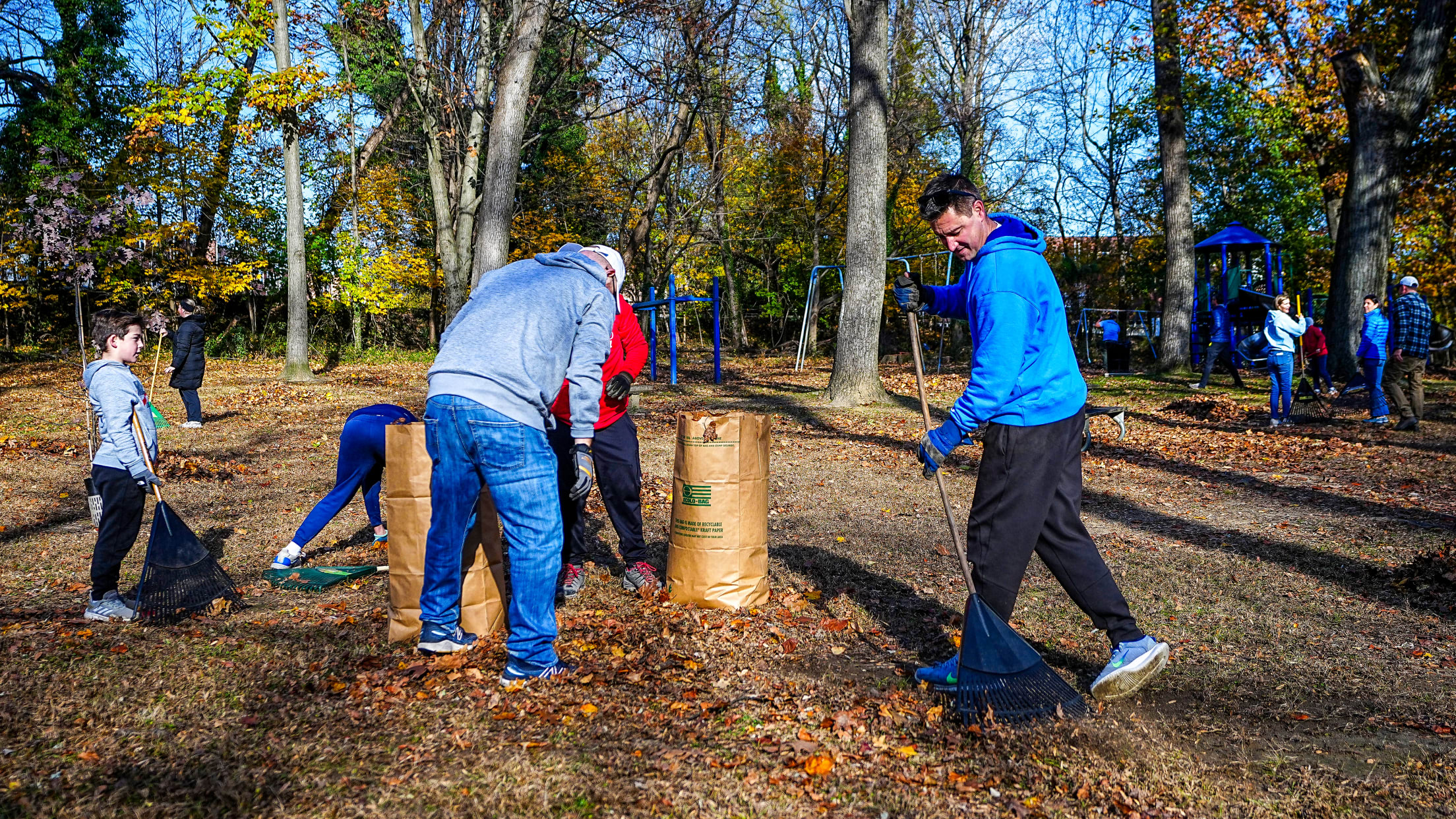 DPMFieldCleanUp166784