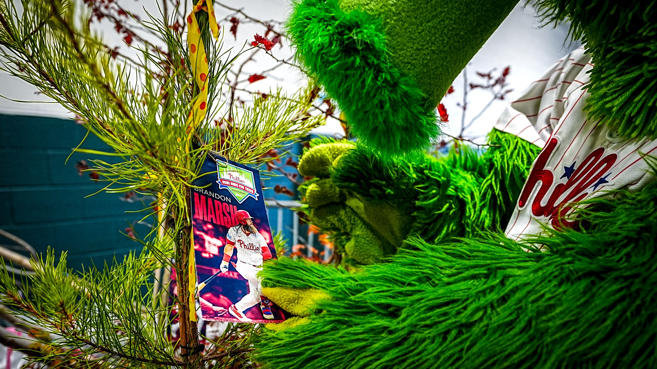 HomeRunsForTrees166467