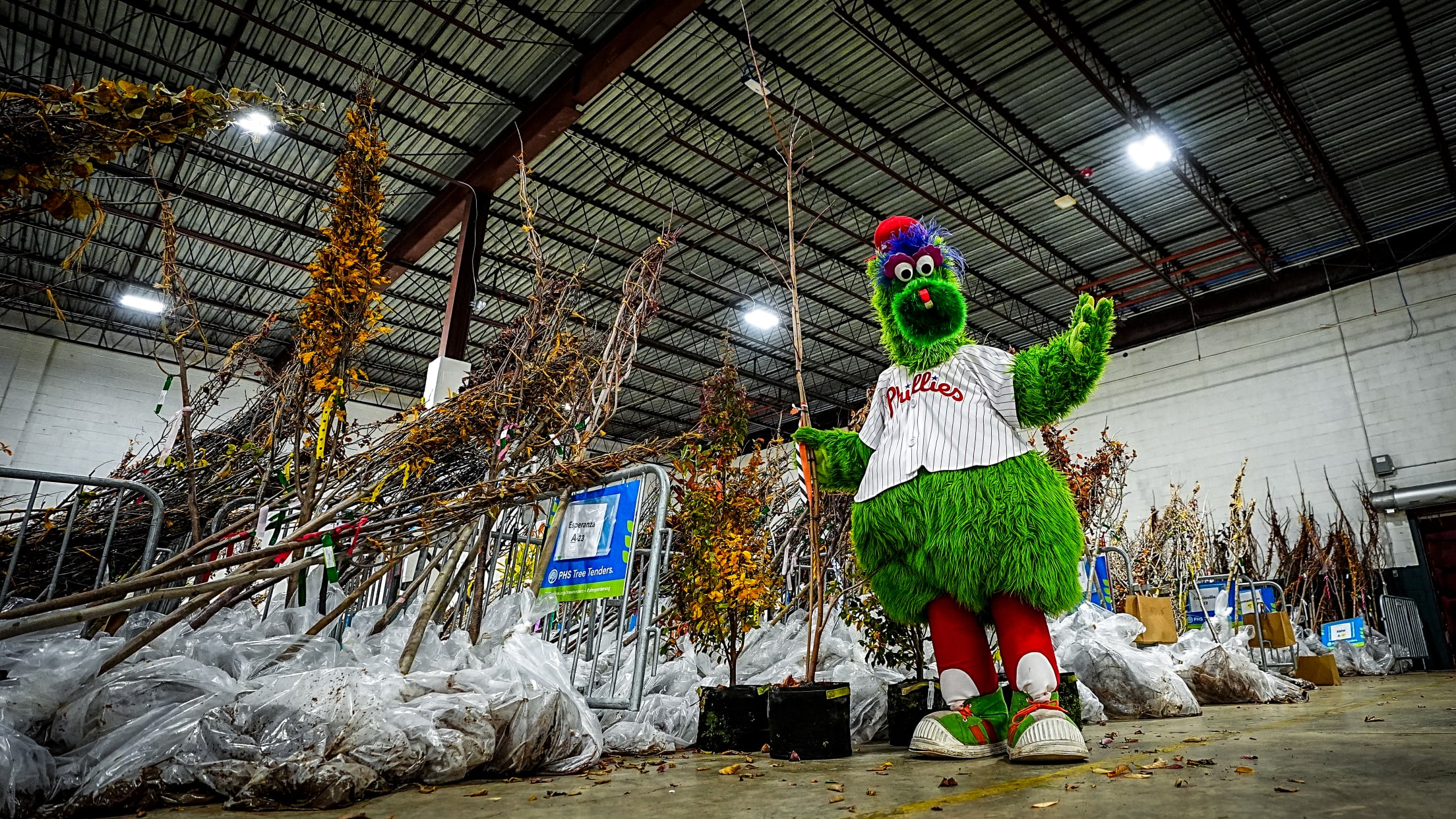 HomeRunsForTrees166552