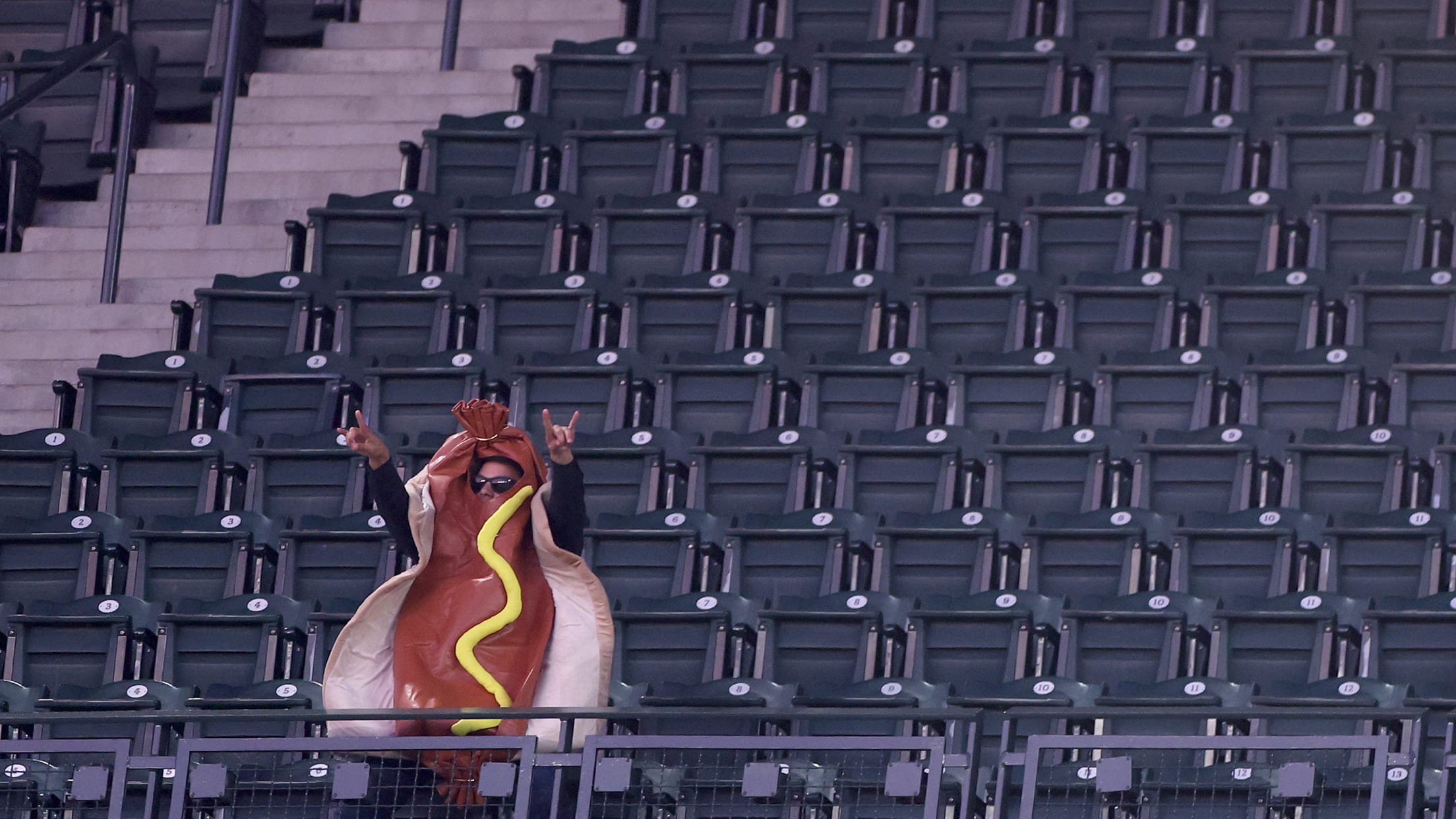A fan in a hot dog suit