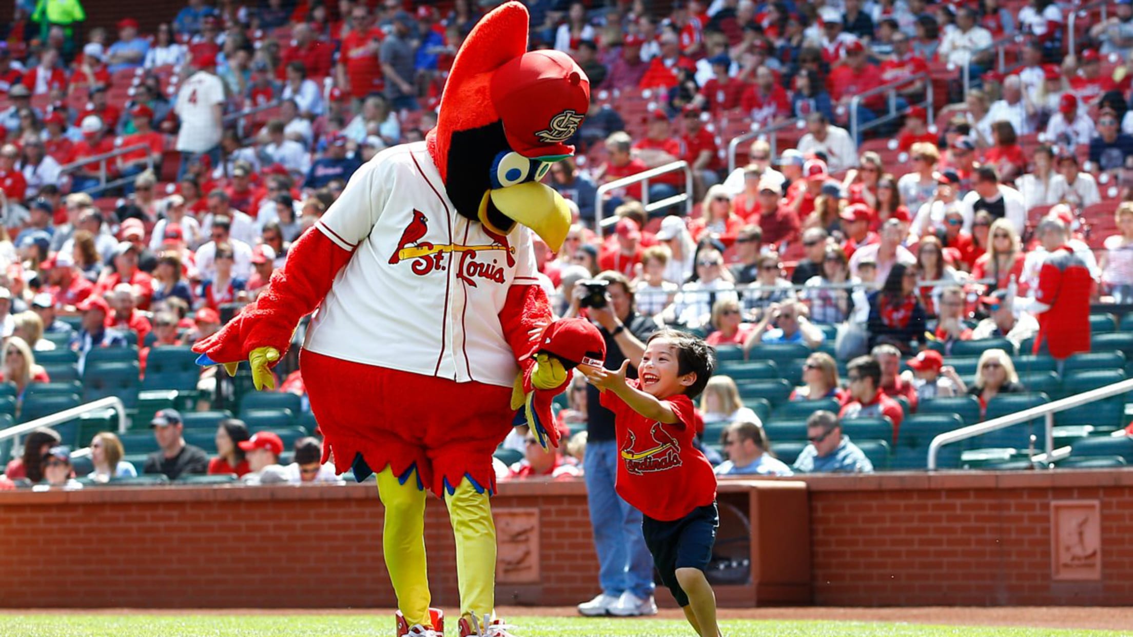 Fredbird tweet 2568