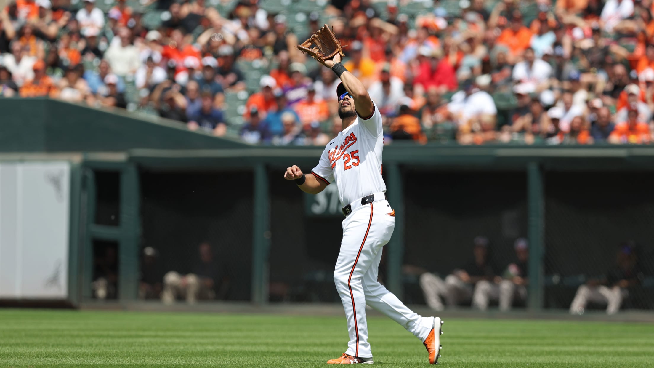 BAL-makingthiercase-060424-022