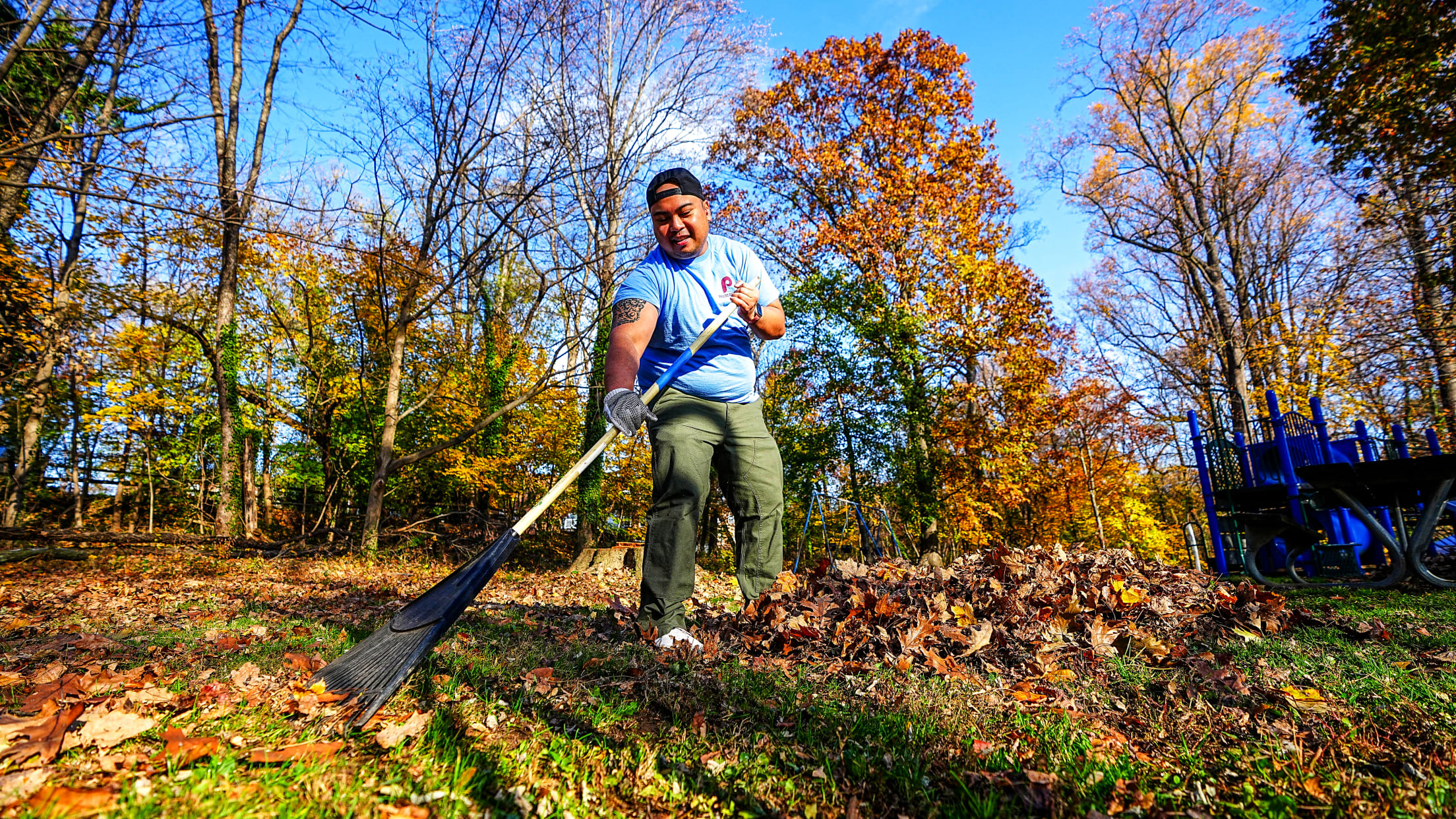 DPMFieldCleanUp166932