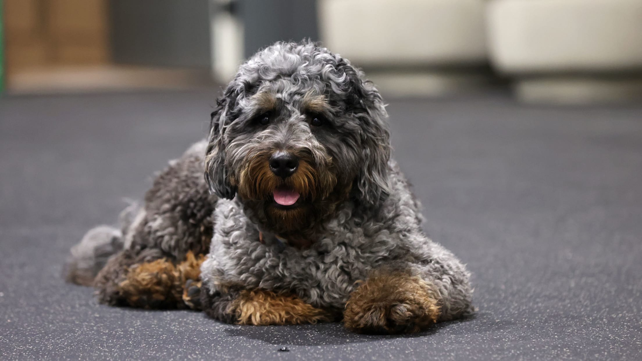 BAL-BI-021025-Holliday-Feature-045