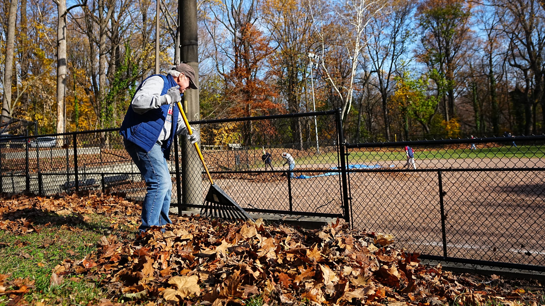 DPMFieldCleanUp167388