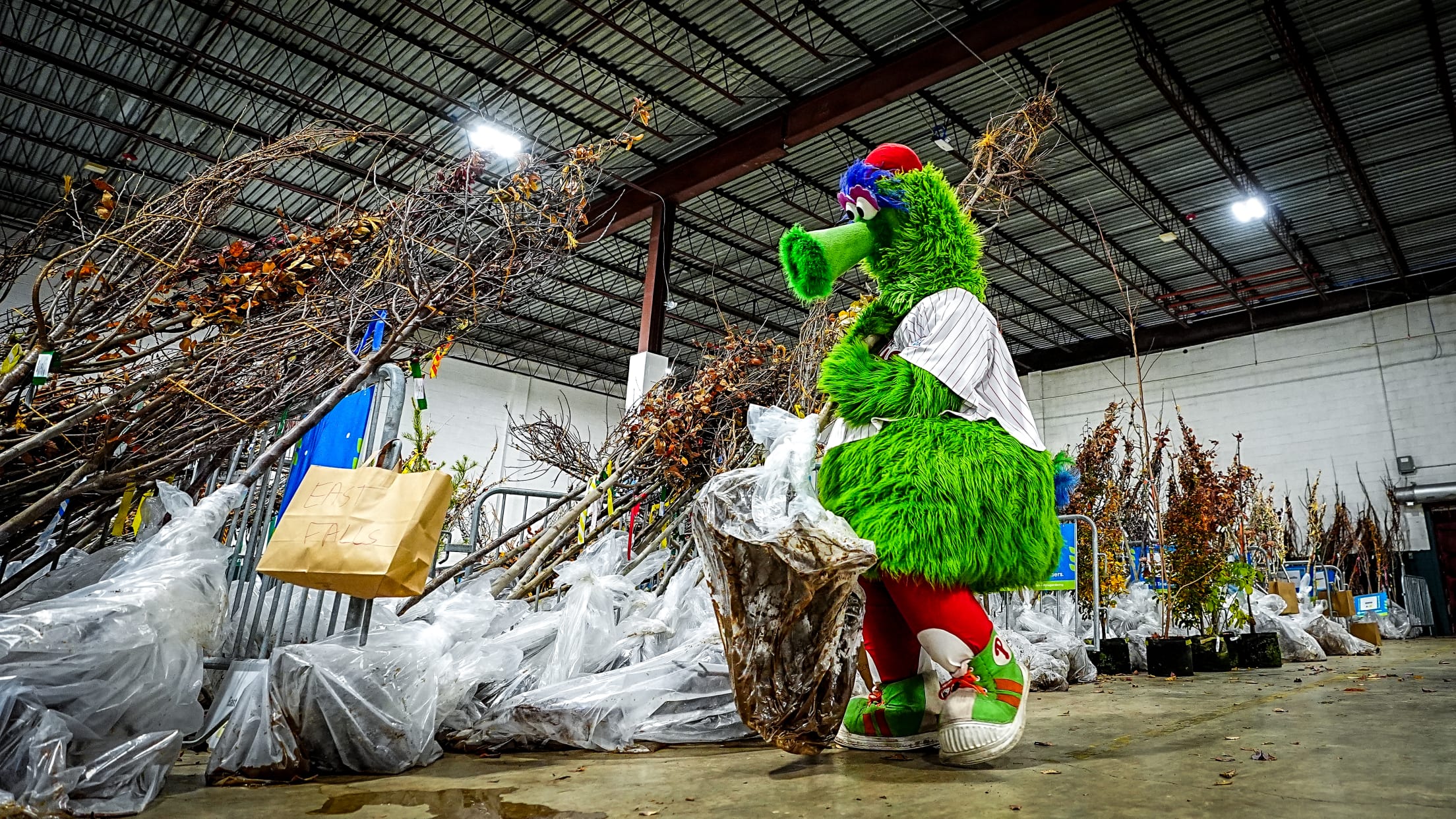 HomeRunsForTrees166564