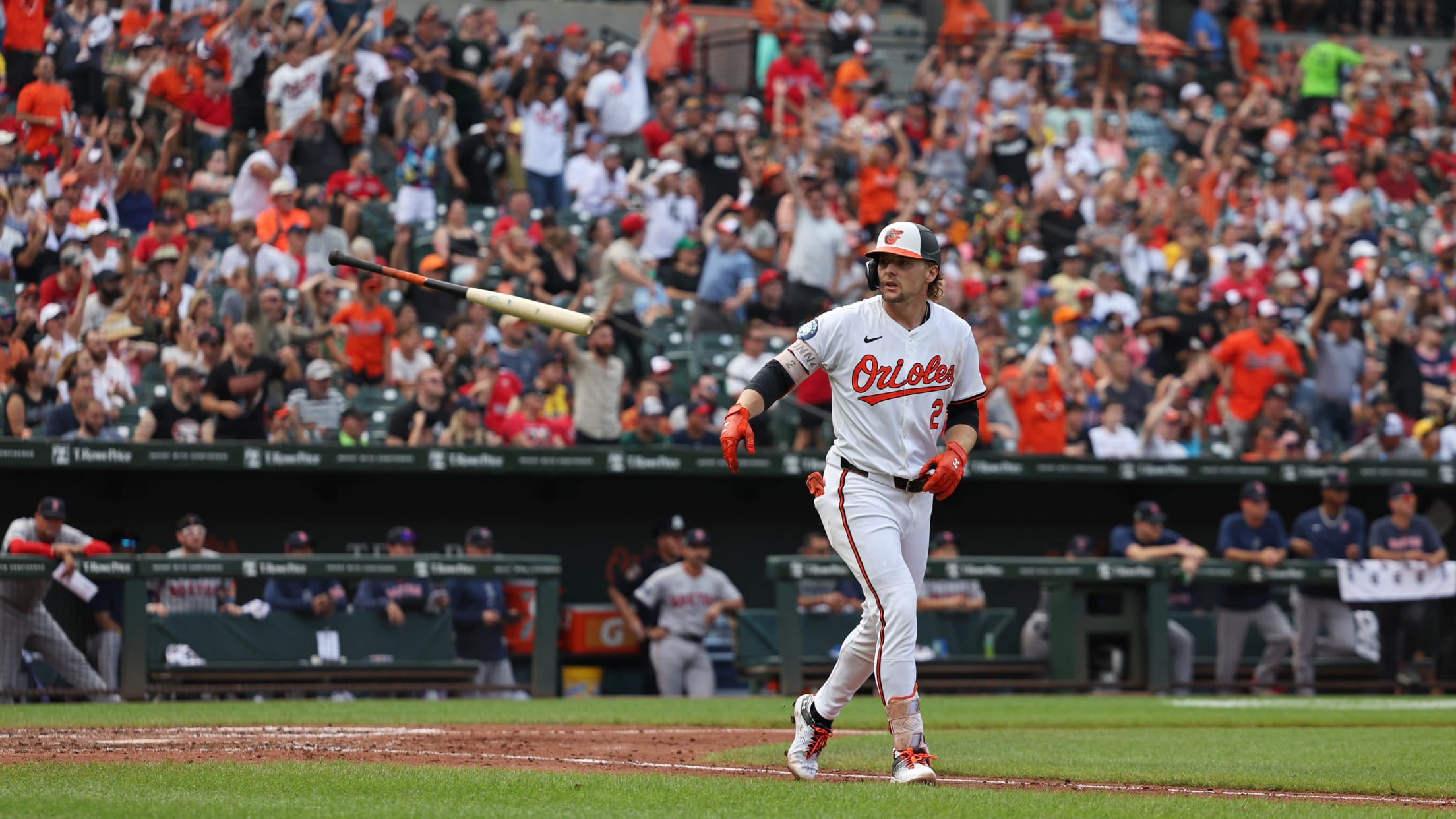 BAL-bestof2024-todd-122024-068