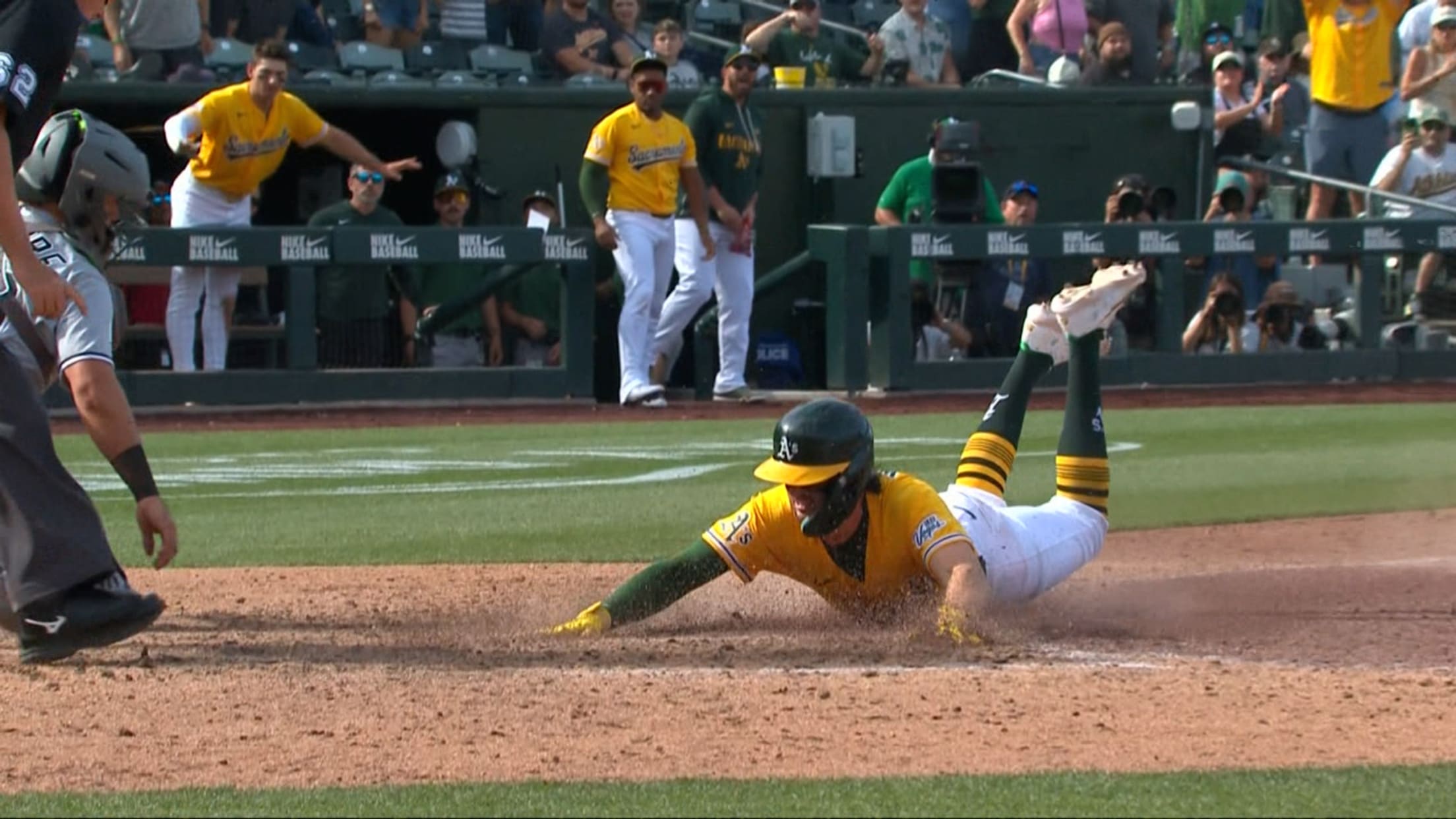 Elevado de sacrificio de oro de Max Muncy