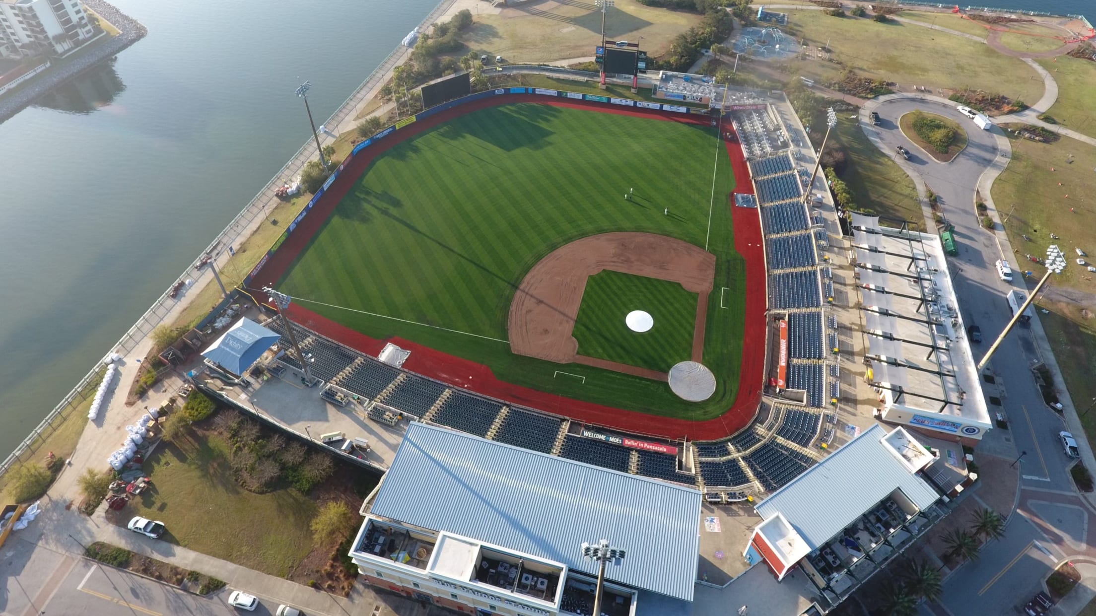 Blue Wahoos 