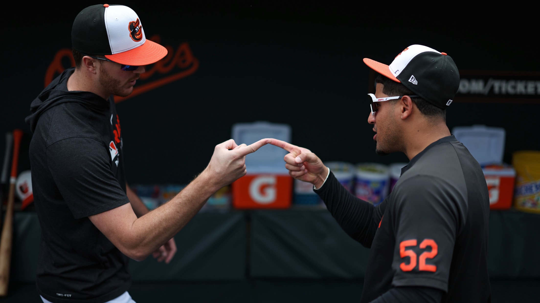 bal_Birdland_Insider_Todd_Photos_0058