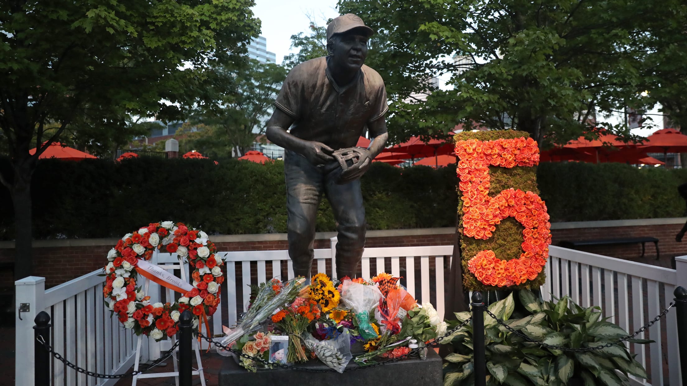 BAL- BI - Homestand In Focus - 1003 - 018