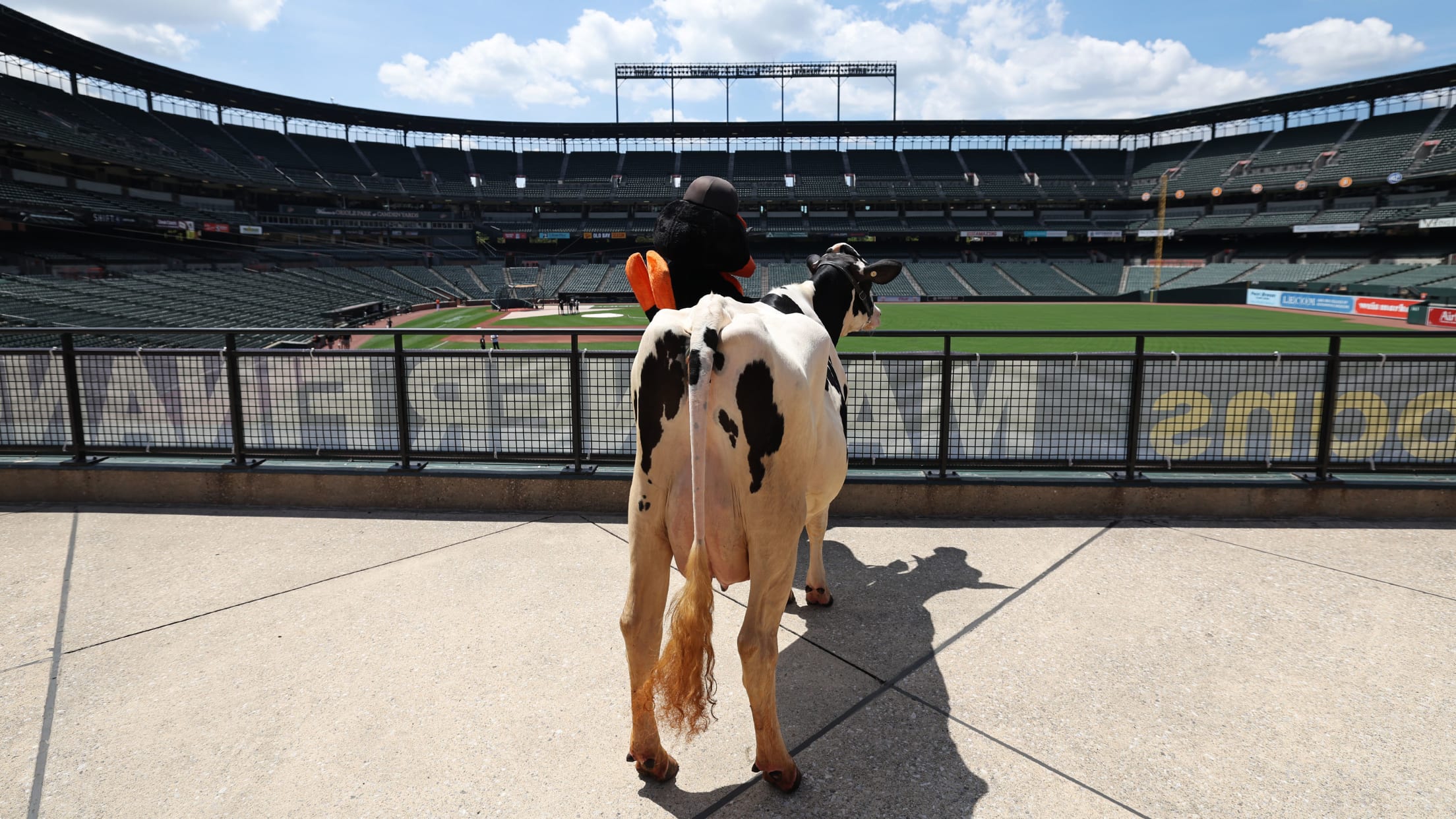 bal_Birdland_Insider_Peyton_Photos_036