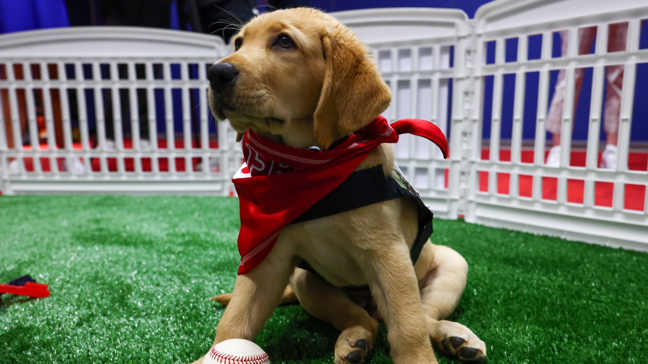 20250701_Tugger Media Availability-18