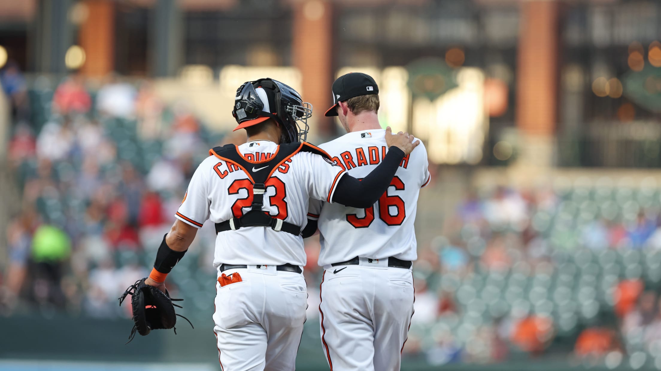 BAL- BI - Bradish 20 Q -  009