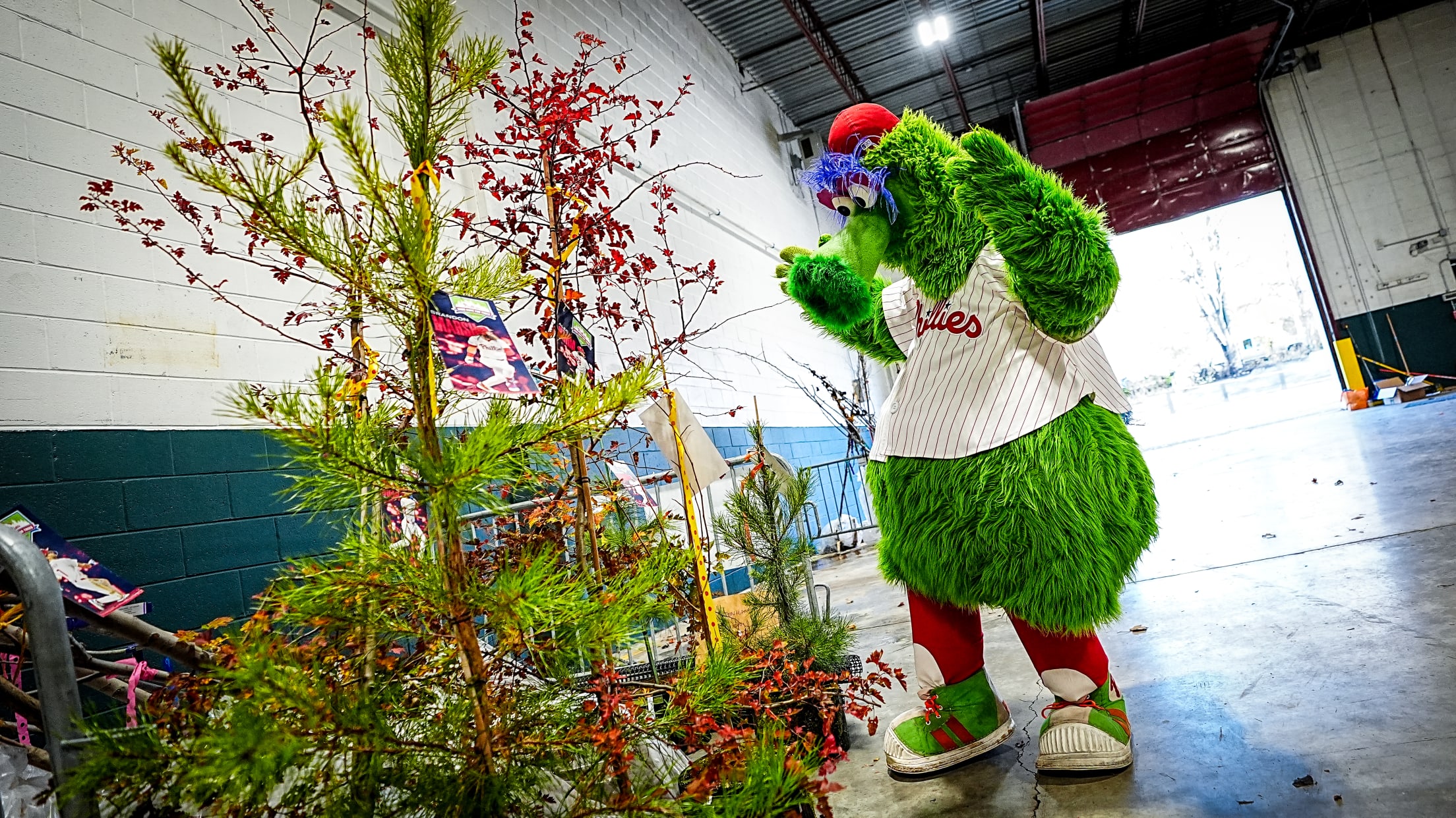 HomeRunsForTrees166495