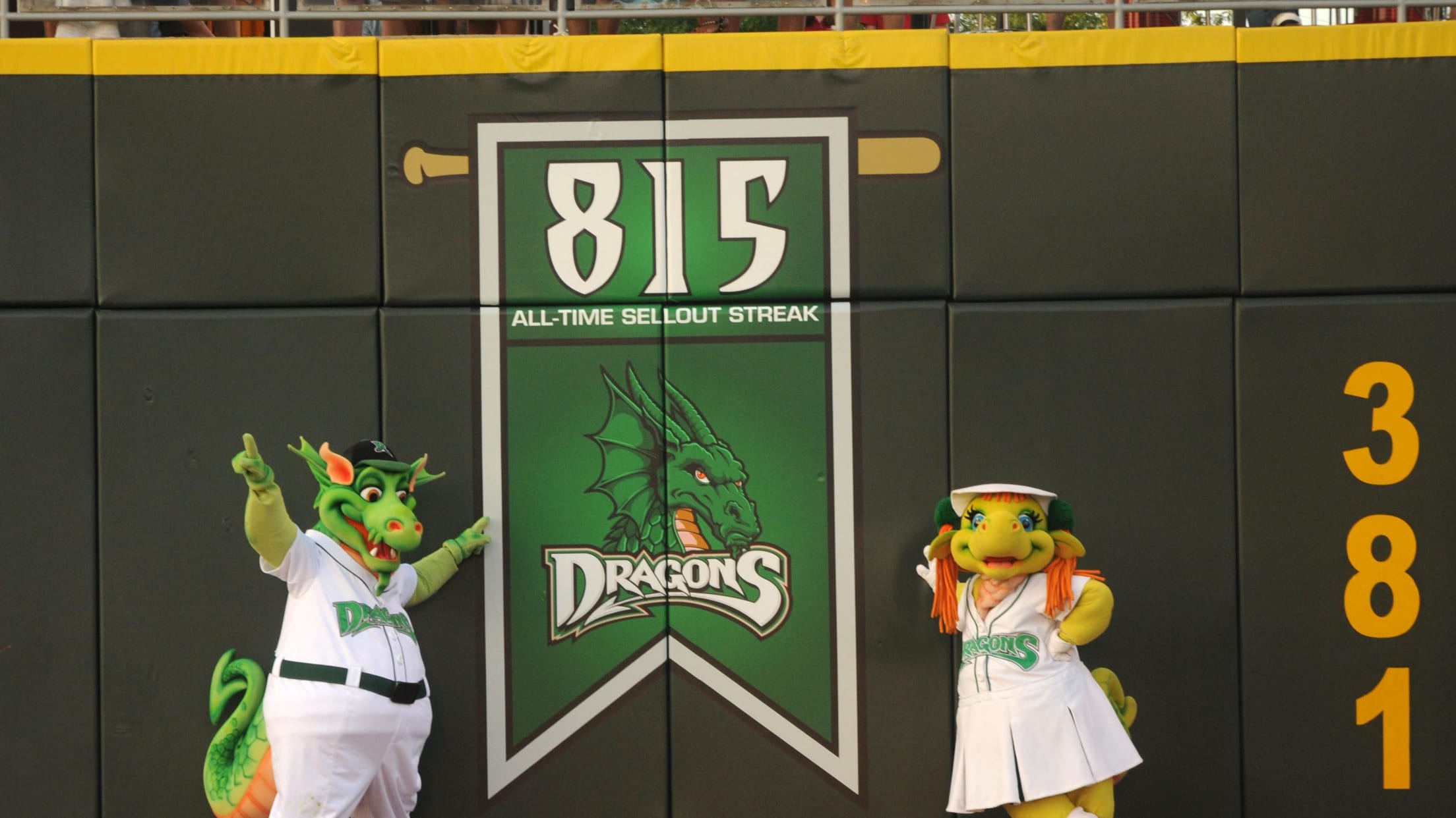 Dayton Dragons Professional Baseball Team - Your eyes are not