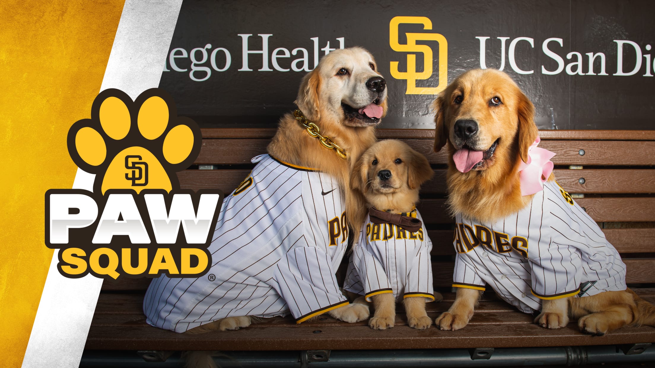 The Paw Squad  San Diego Padres