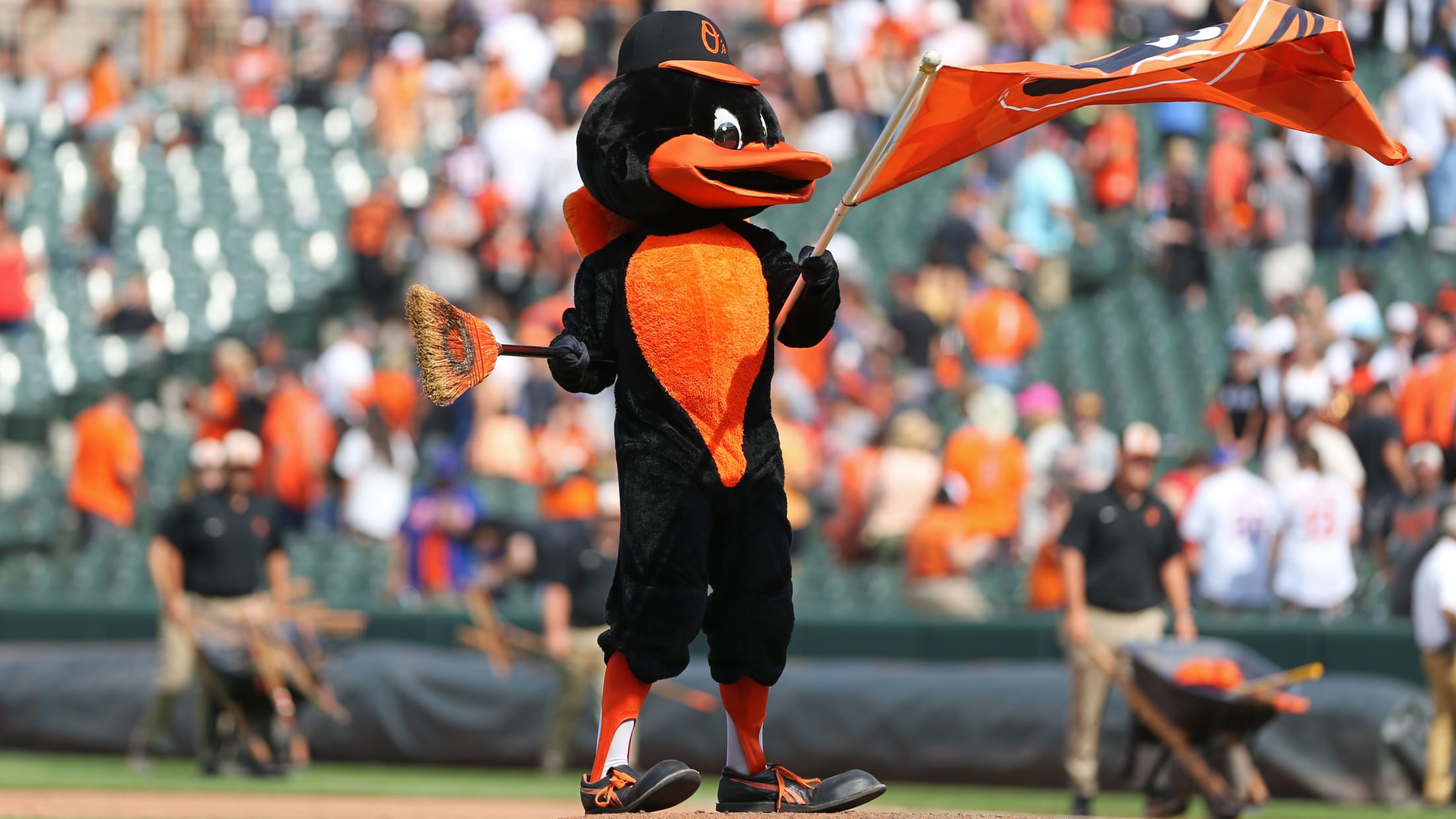 BAL-BI-InFocus-081123-063