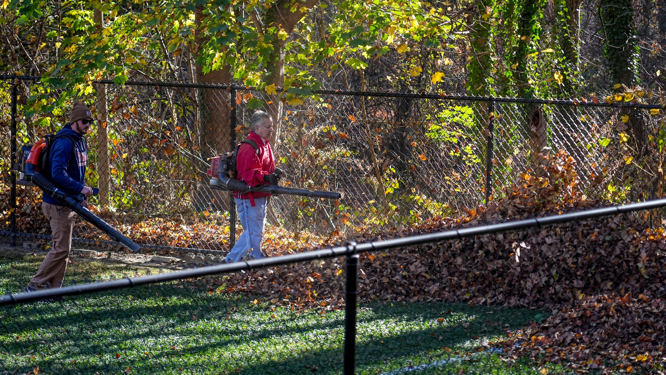 DPMFieldCleanup06712